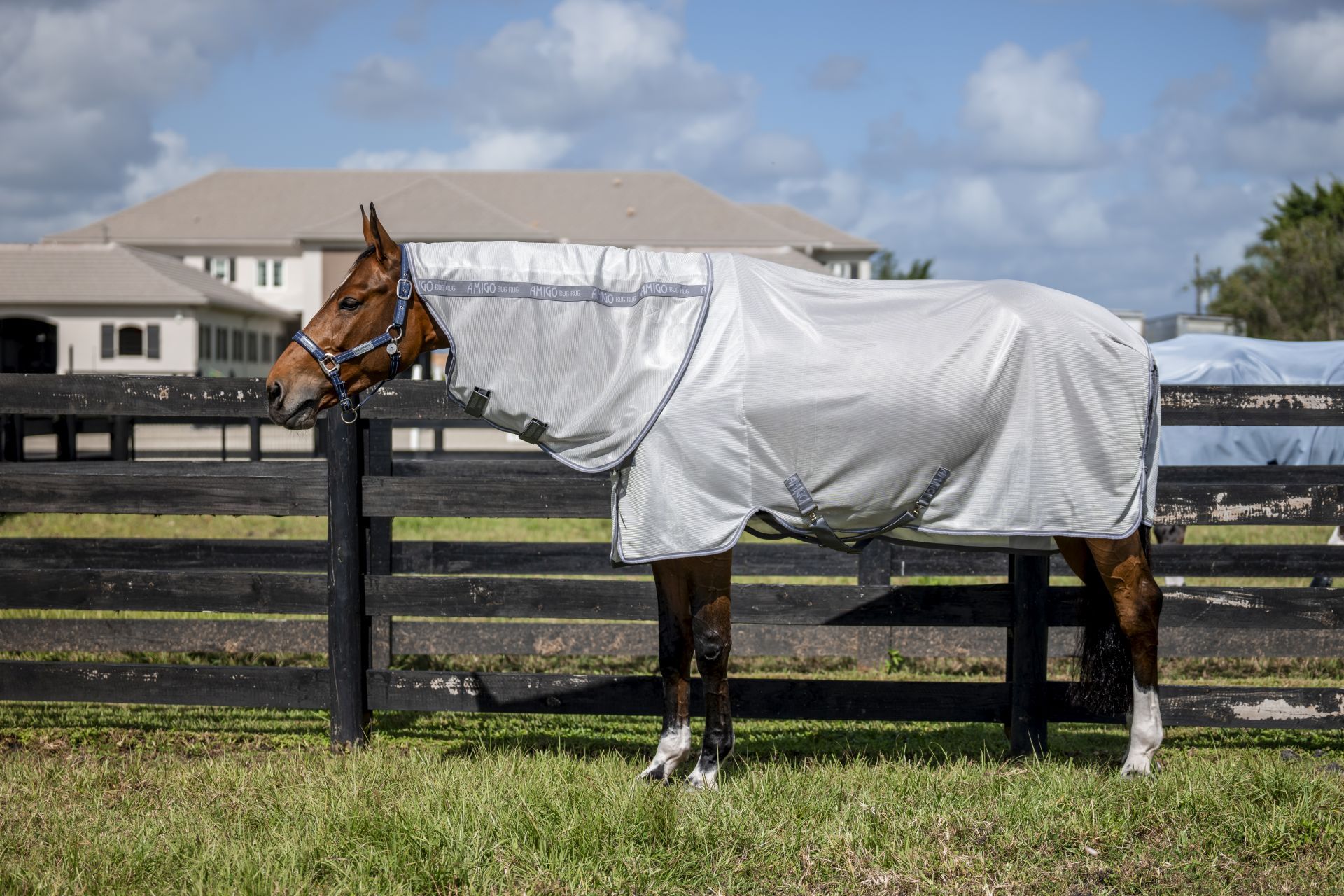 Horseware Fliegendecke Amigo Bug Rug Plus Silver/Titanium Grey & Silver/ 155 cm (6'9")