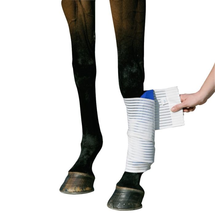 Stübben Kryo Kompakt Horse Elastische Bandage Für Kryo Kompakt Horse Set