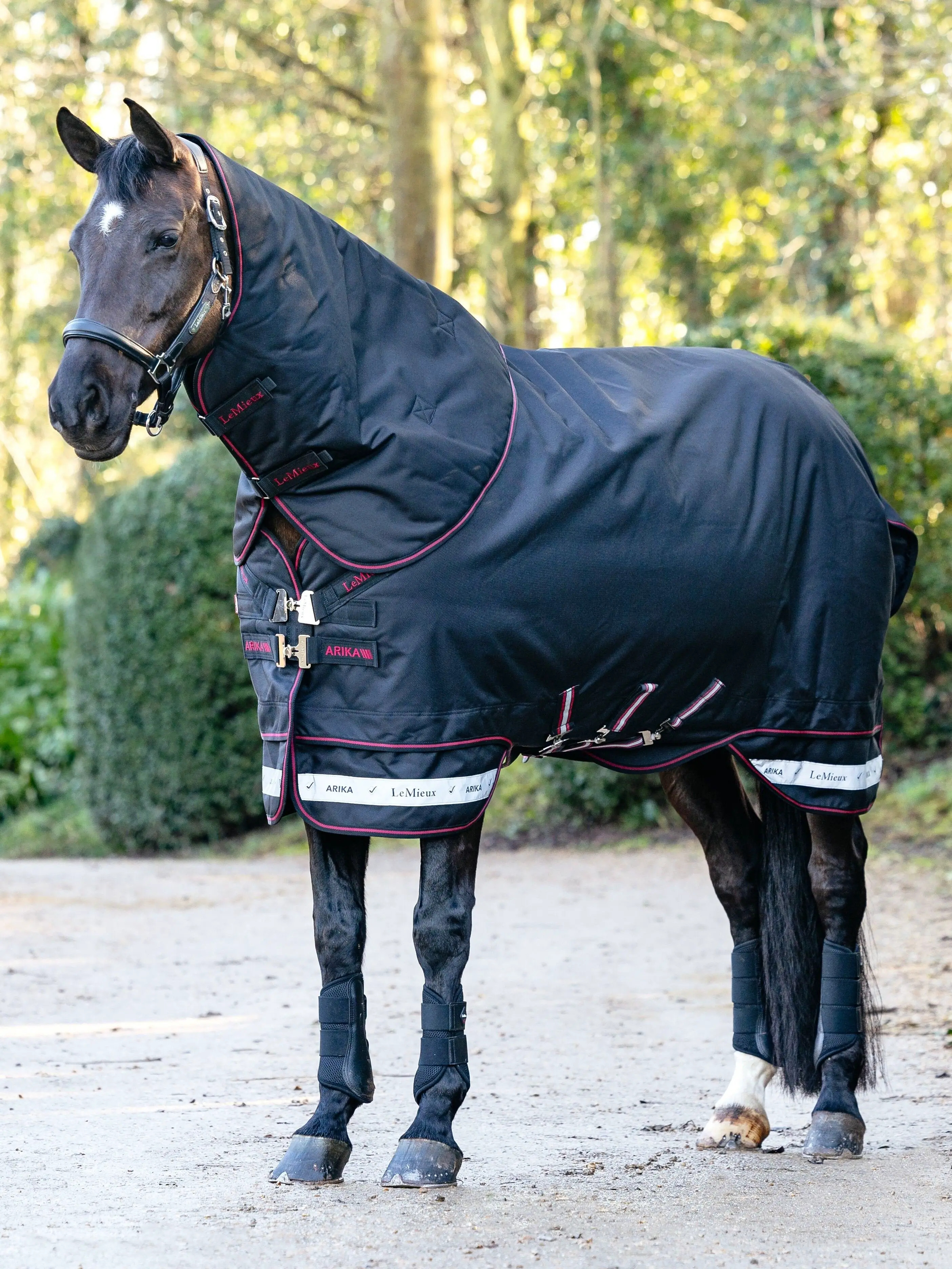 LeMieux Arika Storm-Tek Rug 100g Black, 120 cm