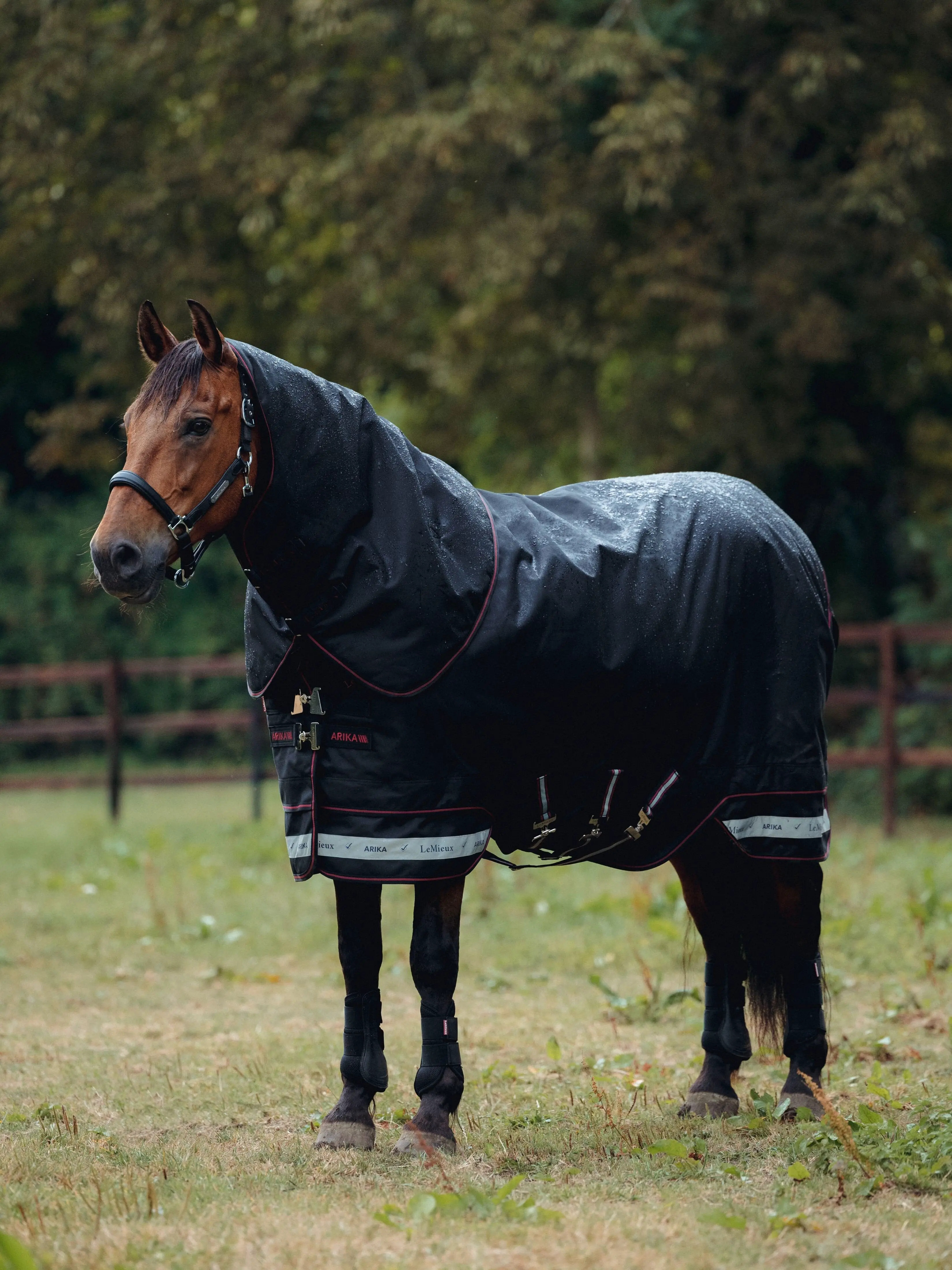LeMieux Arika Storm-Tek Rug 200g Black, 140 cm