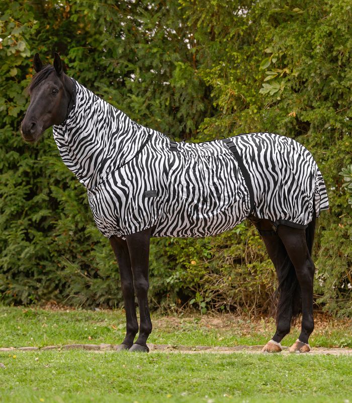 Waldhausen Ekzemerdecke Zebra Basic Gr. 145 cm