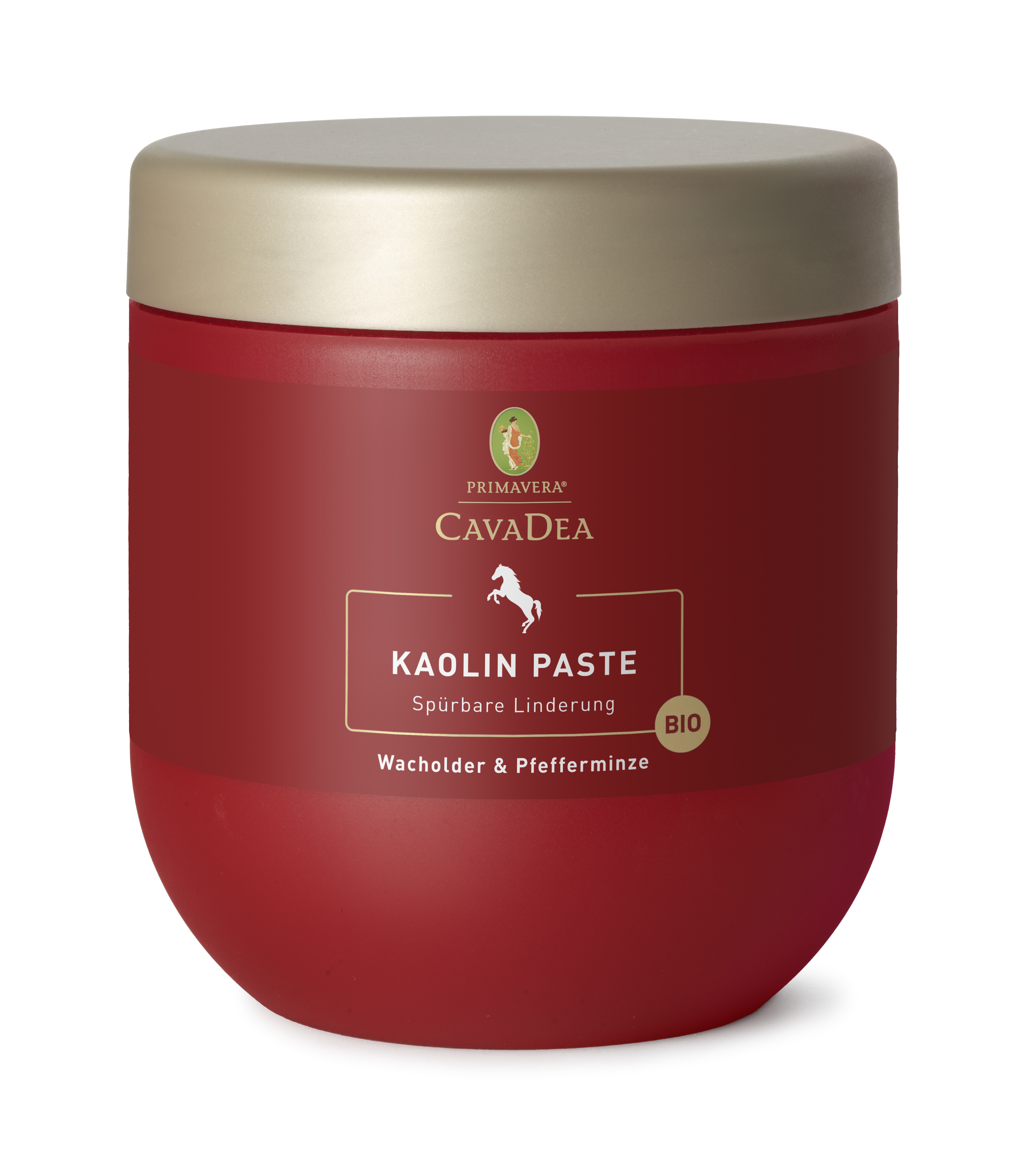 CavaDea Kaolin Paste bio 850 ml Spürbare Linderung nach Belastung