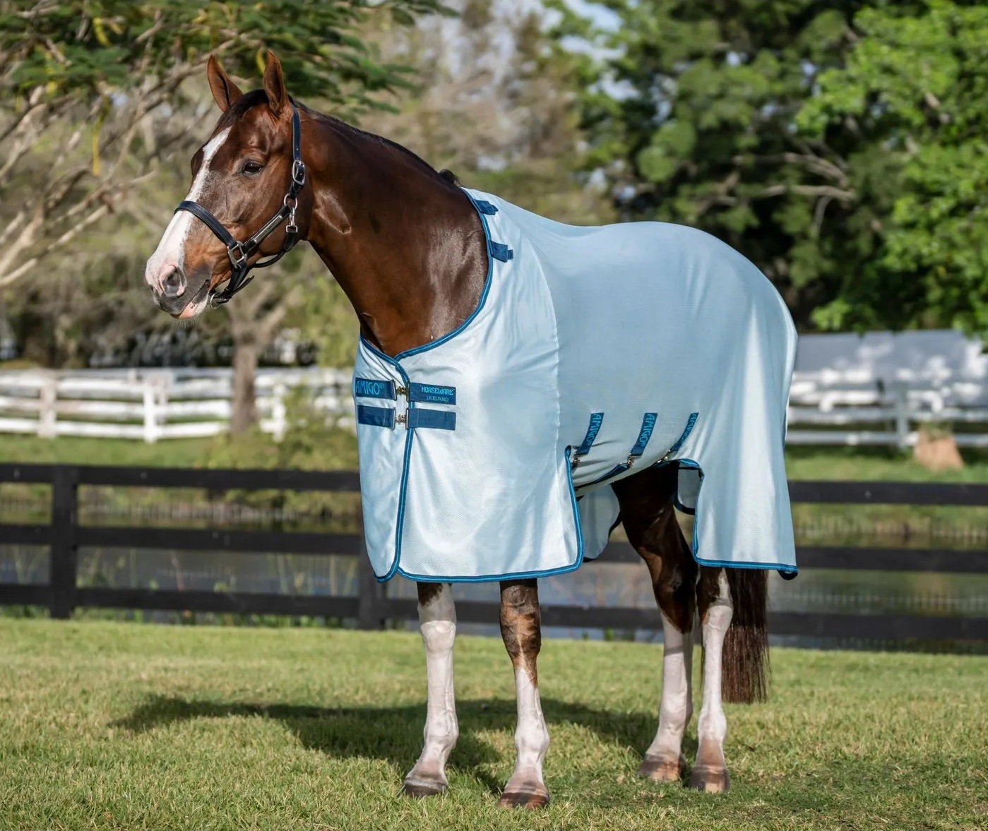 Horseware Fliegendecke Amigo Bug Buster Azure Blue/Navy & Blue/ 130 cm (6'0")