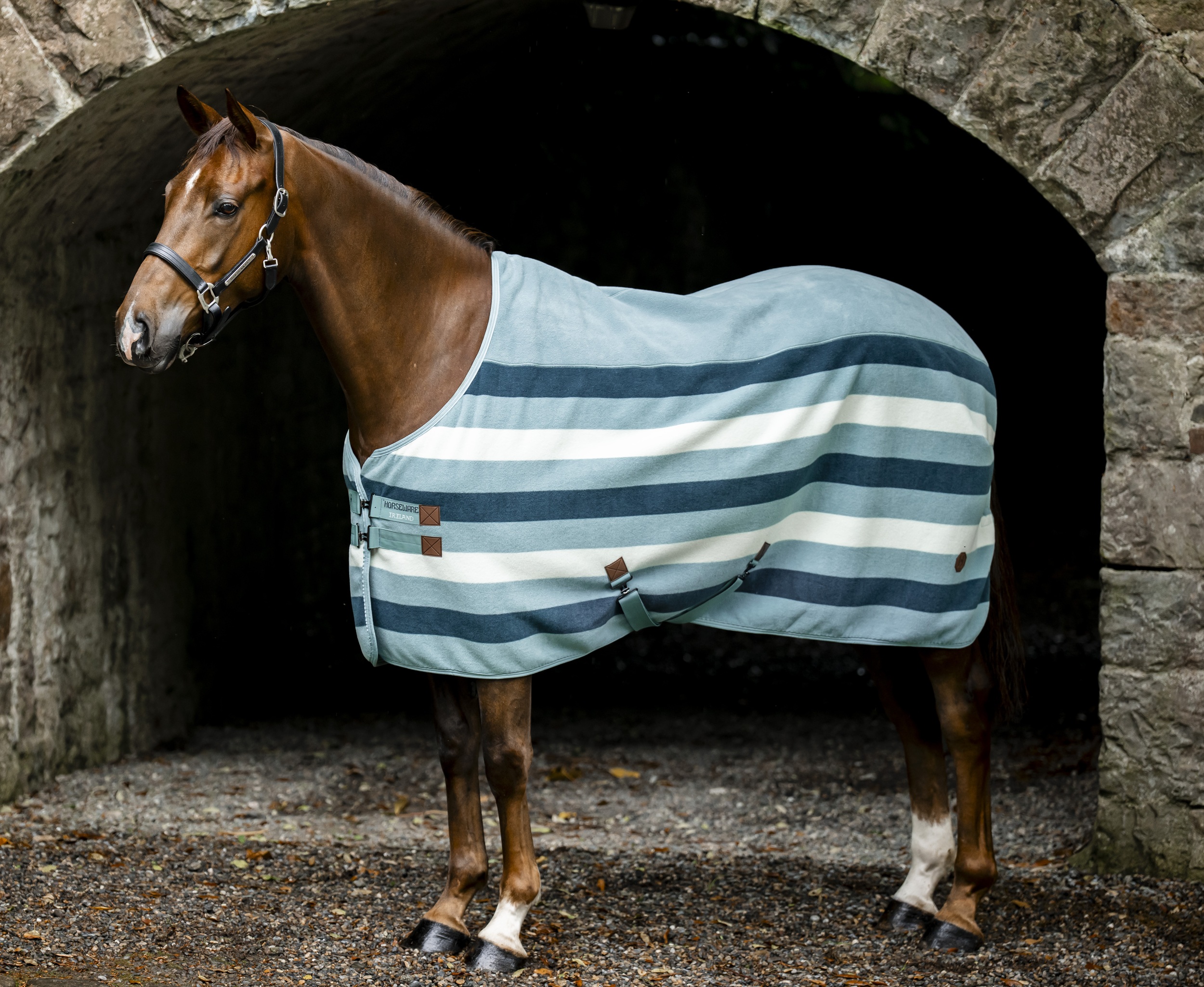 Horseware Newmarket Abschwitzdecke Witney Dynasty / 160 cm