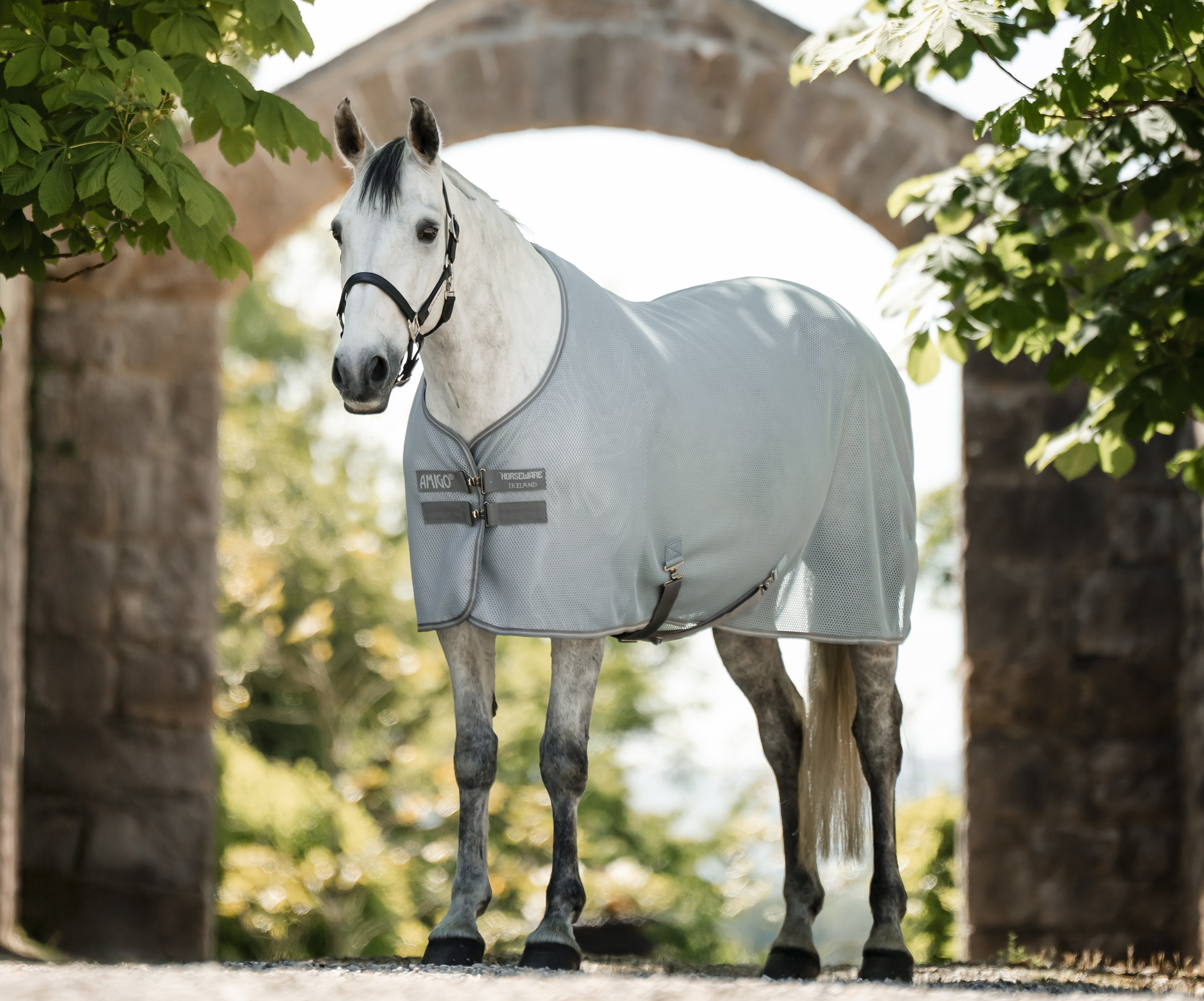 Horseware Amigo AirNet Abschwitzdecke Heather Blue/Titanium Grey & Silver, Gr. 140 cm