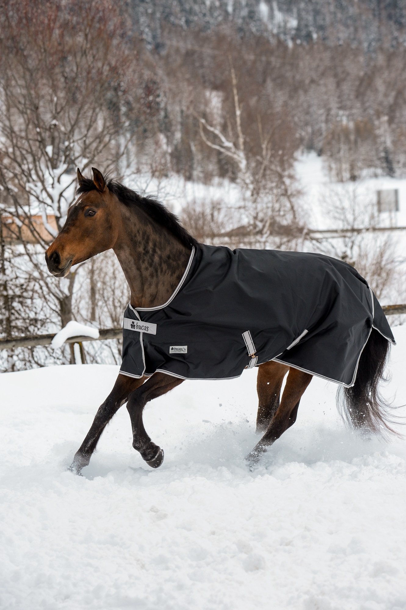 Bucas Anniversary Turnout 50g Sf Black/Silver, Gr. 130 cm