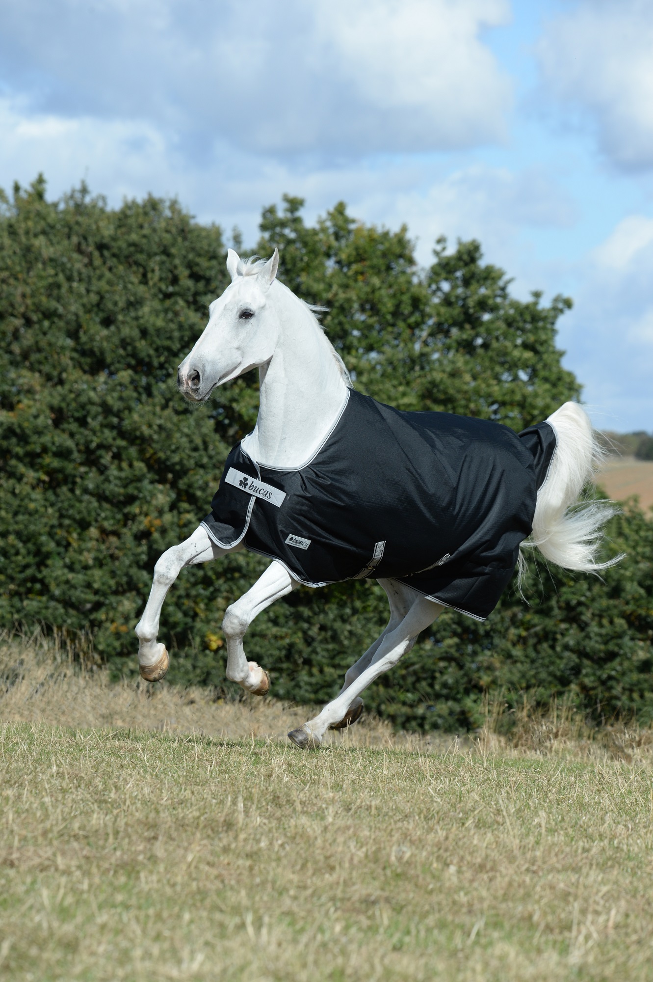 Bucas Anniversary Turnout Light 0g Sd Black/Silver, Gr. 140 cm