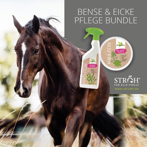 Bense & Eicke Pflegebundle Anti-Itch 500 ml & MaulFein 100 ml
