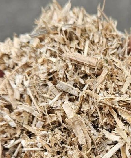 Nobel Rapseinstreu 1040 x 12kg (26 Paletten) Staubfrei & geeignet für Allergiker
