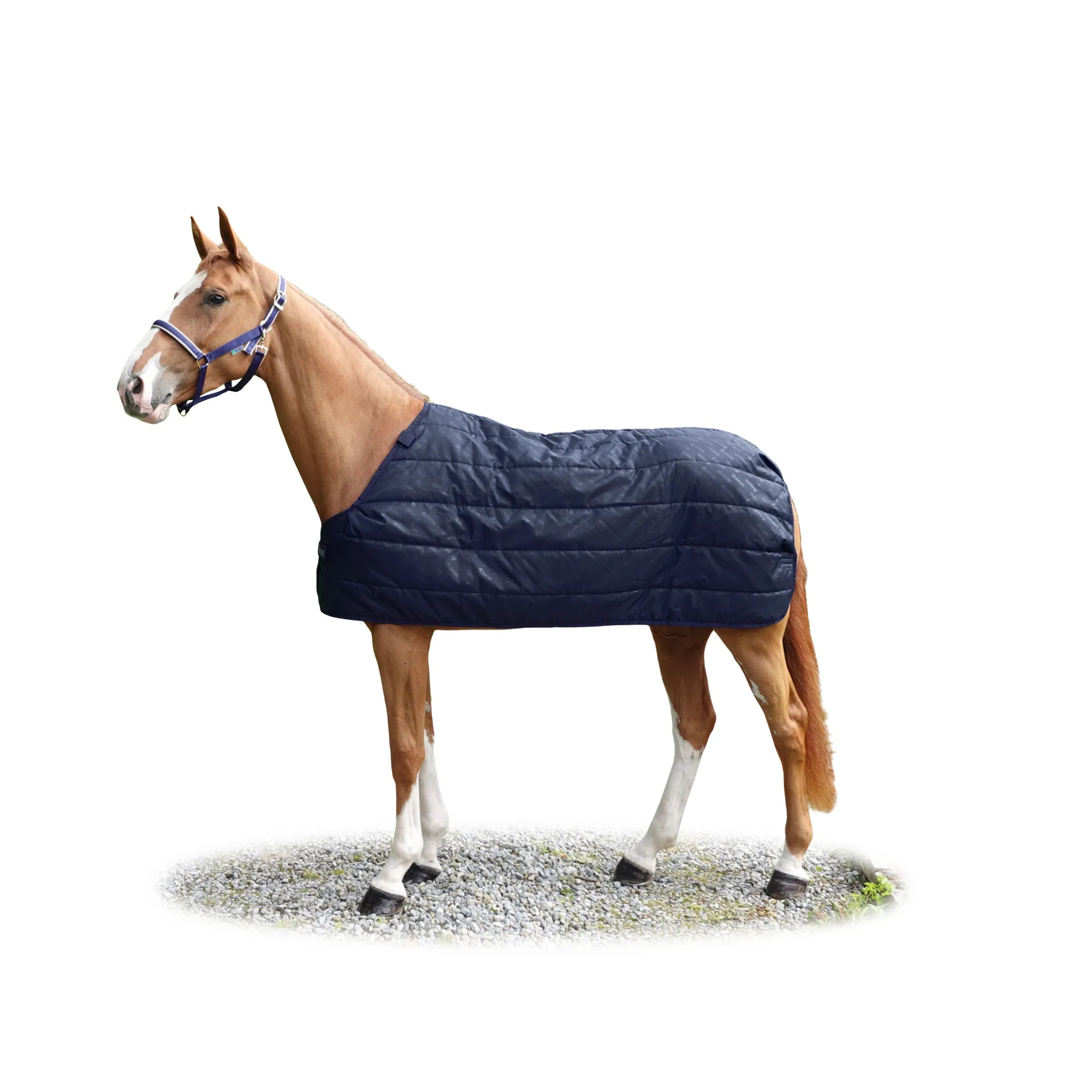 Bucas Unterdecke Liner 200g Navy, Gr. 145 cm