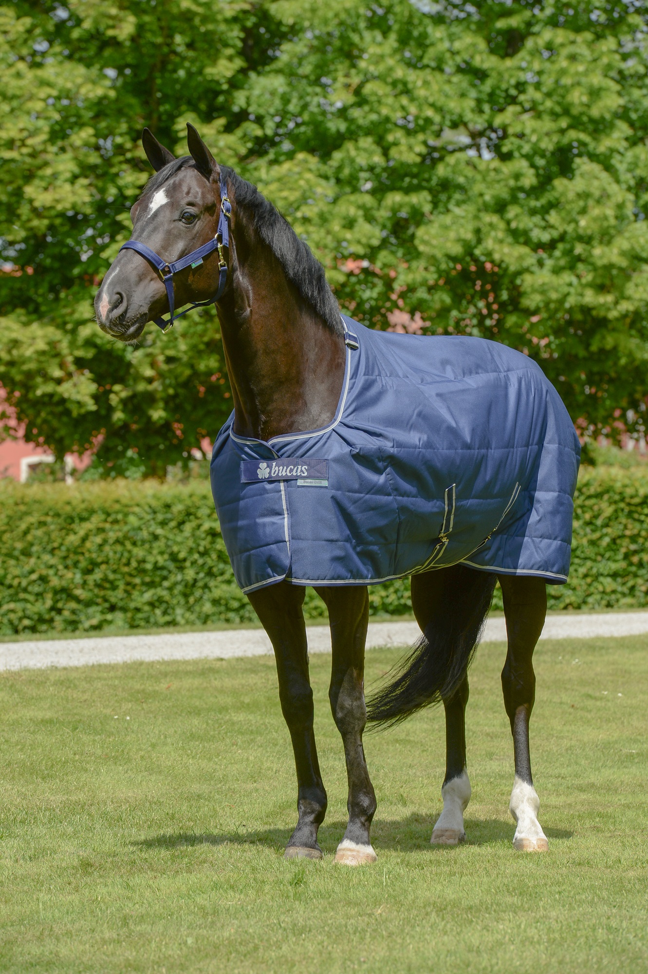 Bucas Quilt 50g Sf Navy, Gr. 130 cm
