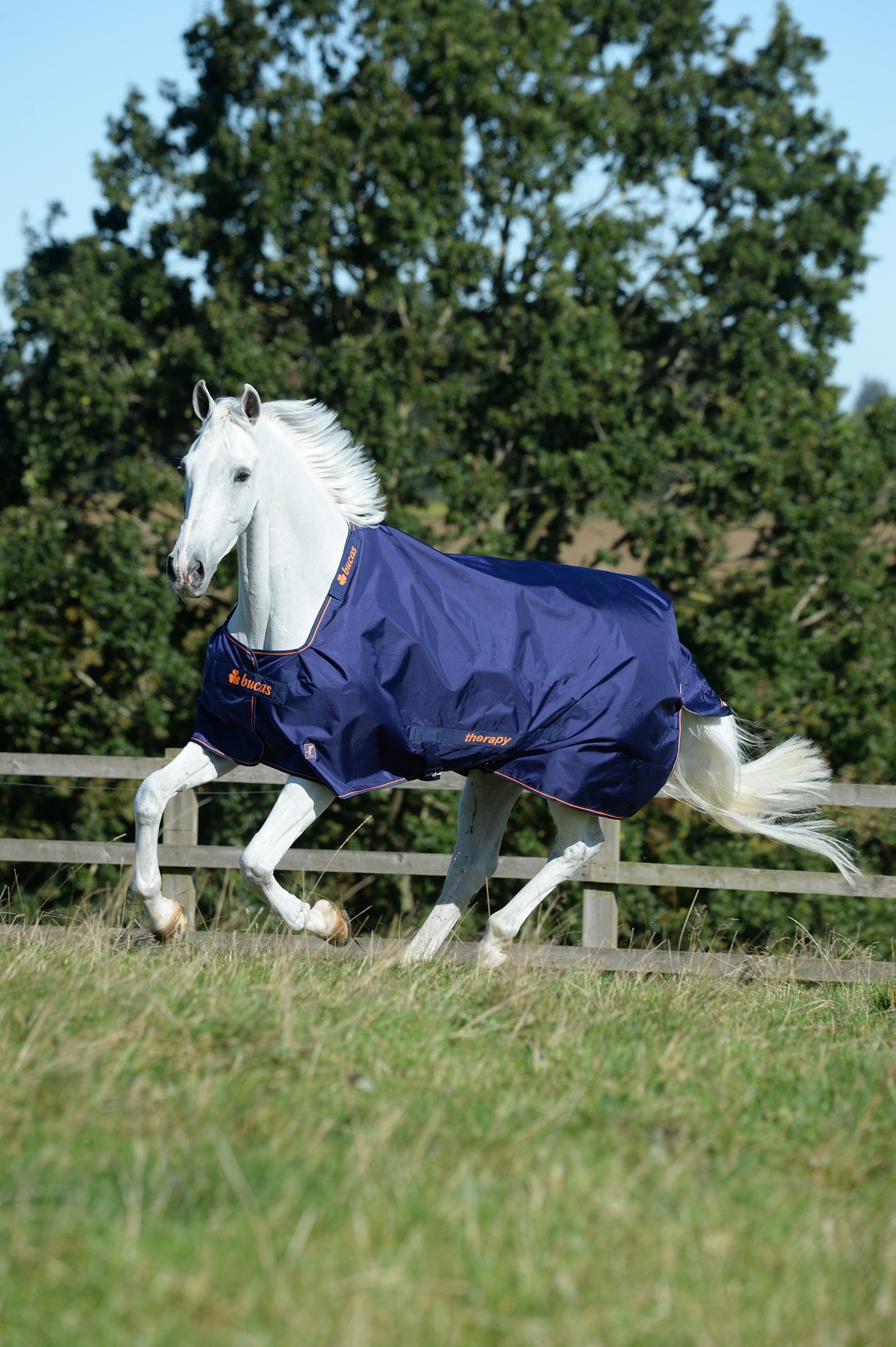 Bucas Therapy Turnout Light 0g Navy/Orange, Gr. 140 cm
