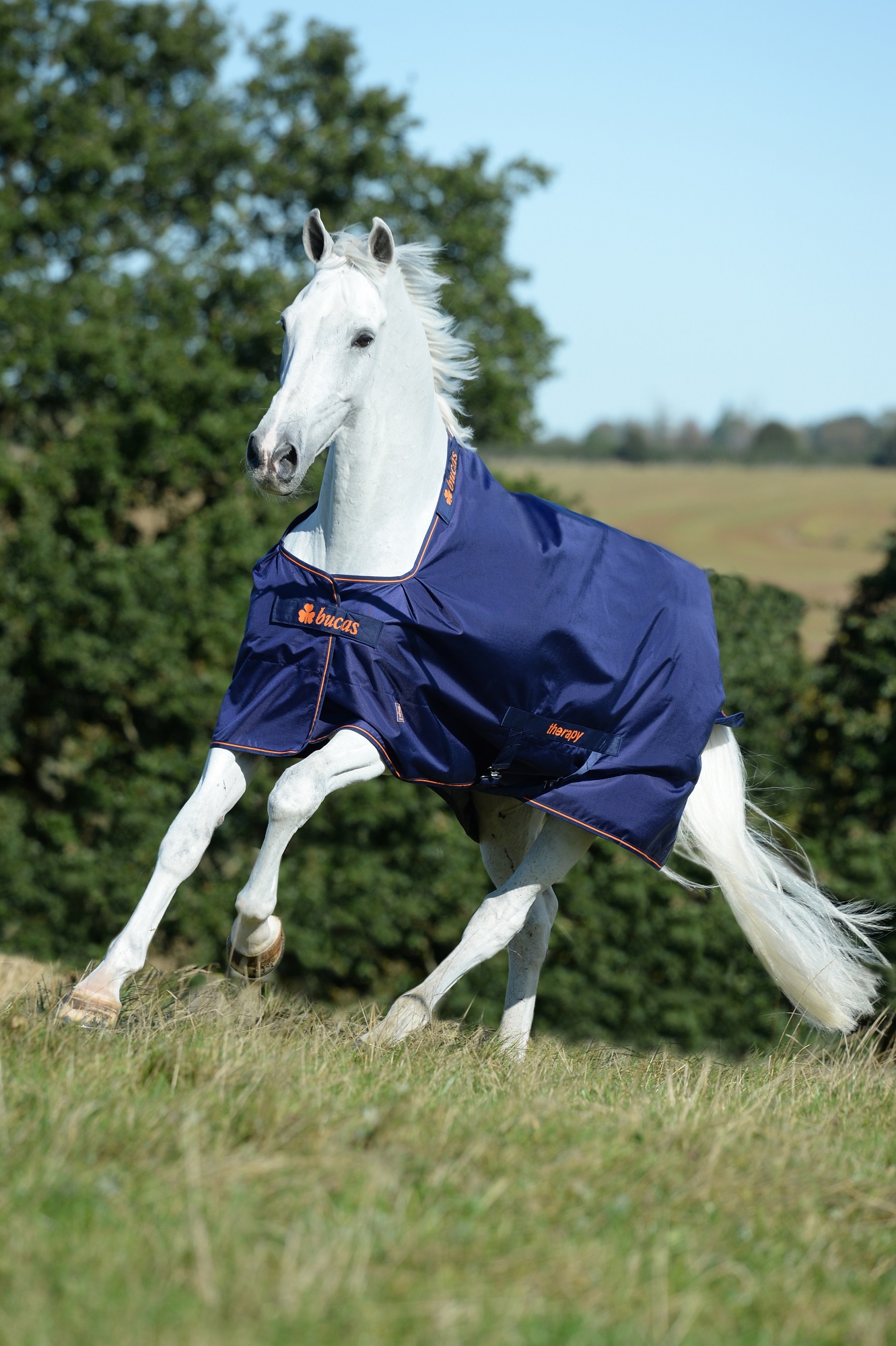 Bucas Therapy Turnout 150g Navy/Orange, Gr. 135 cm