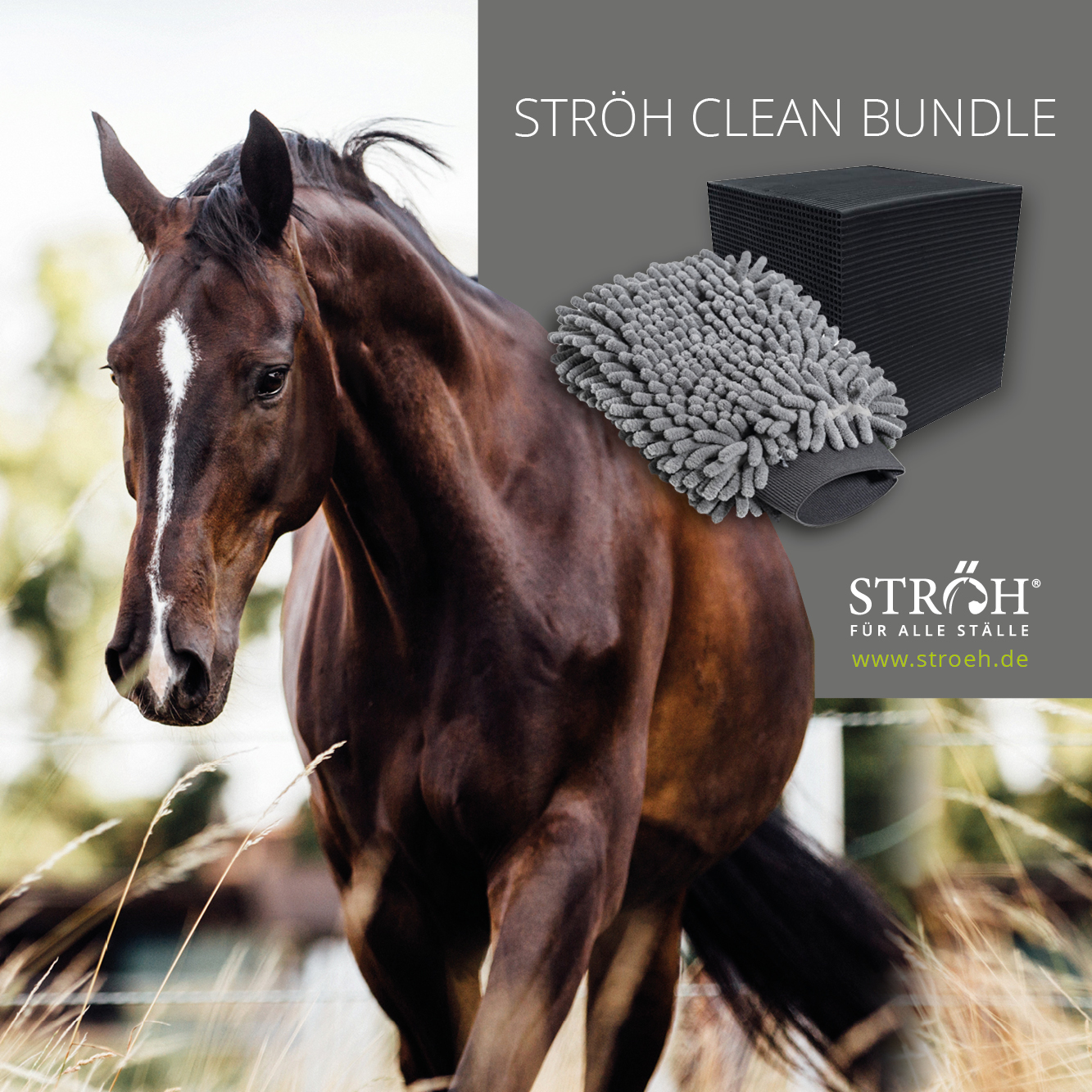 STRÖH Clean Bundle Kristallklar & Brillanz
