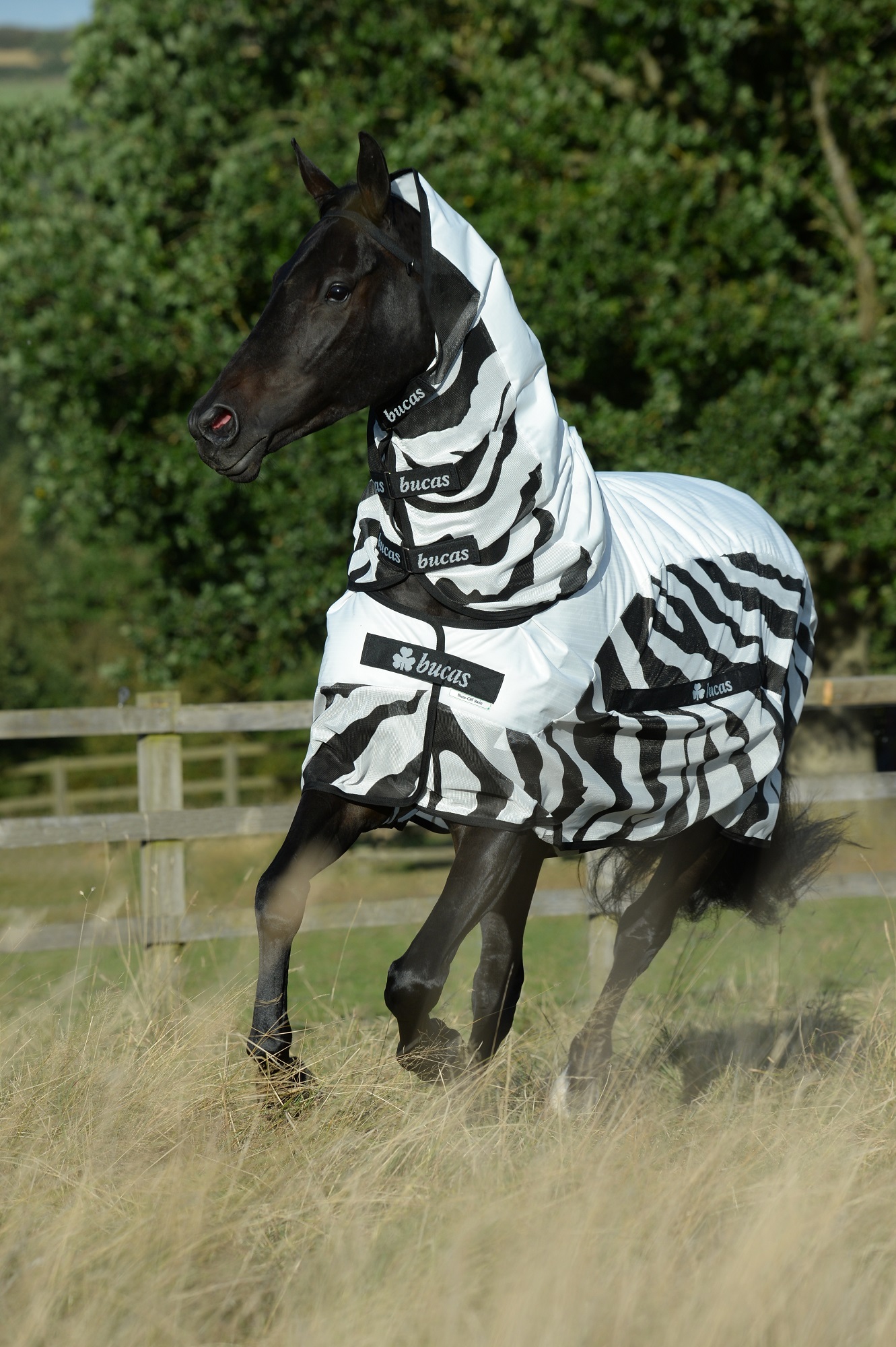 Bucas Buzz-off Rain Fliegendecke Zebra, 140 cm
