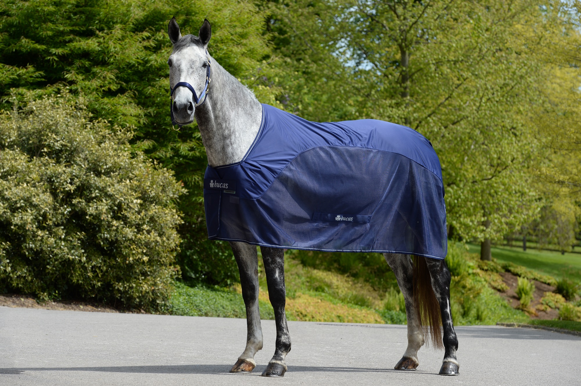 Bucas Competition Cooler Navy, Gr. 140 cm