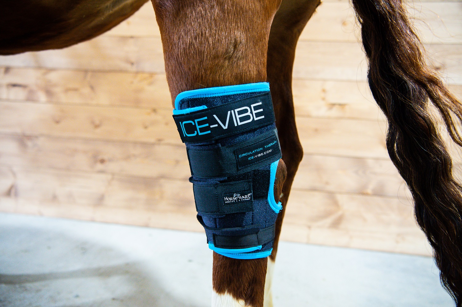 Horseware Ice-Vibe Therapiegamaschen Hock Wrap Schwarz, Gr. Full/ Wb