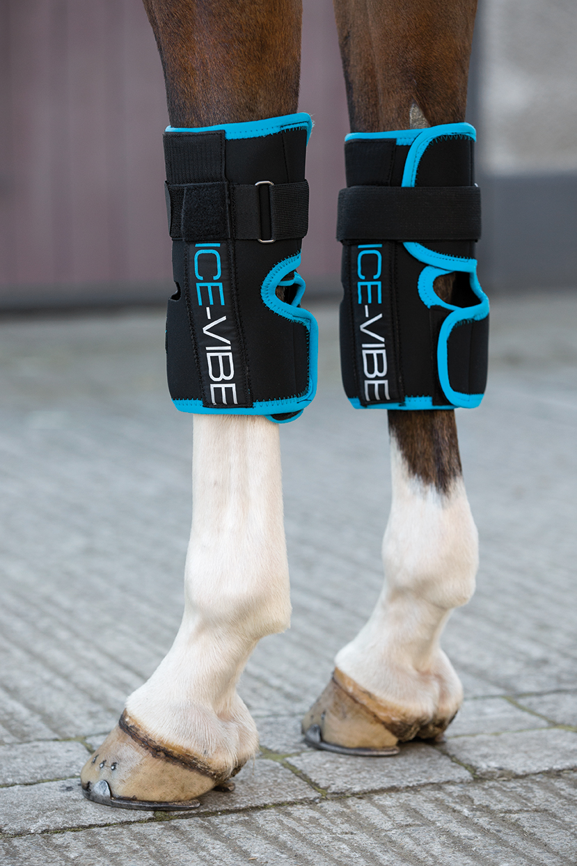 Horseware Ice-Vibe Therapiegamaschen Knee Wrap Schwarz, Gr. Full/ Wb