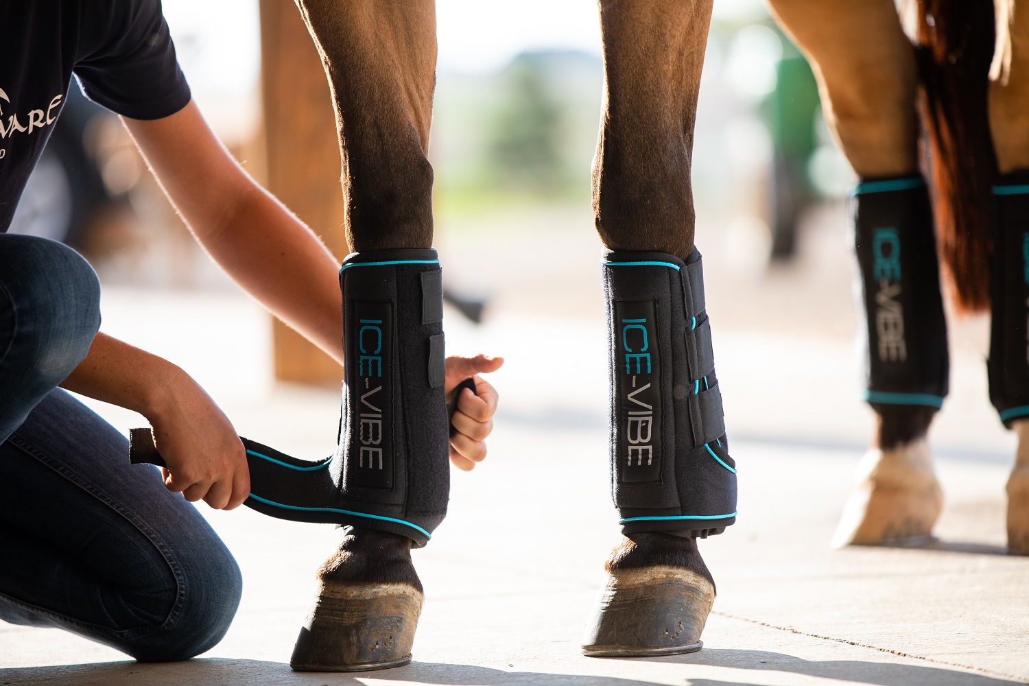 Horseware Ice-Vibe Therapiegamaschen Boot Schwarz, Gr. Extra Full/ X-Wb