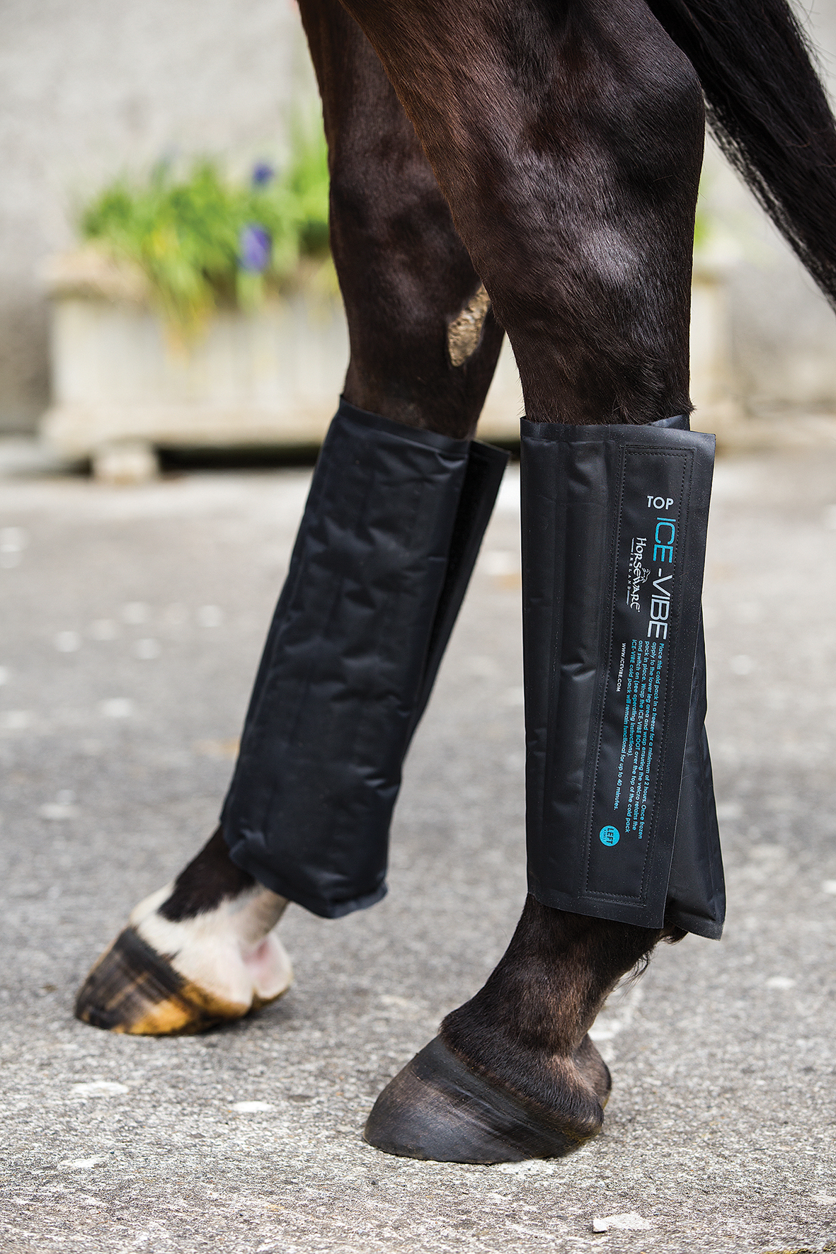 Horseware Kühlpacks für Ice-Vibe 'Boot' Schwarz, Gr. Full/ Wb
