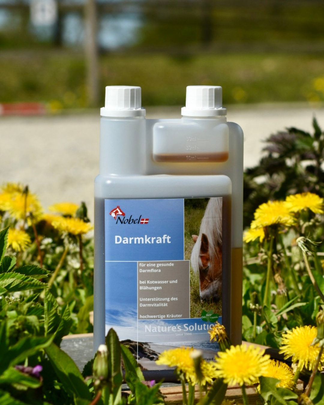 Nobel Darmkraft 1L Für die gesunde Verdauung