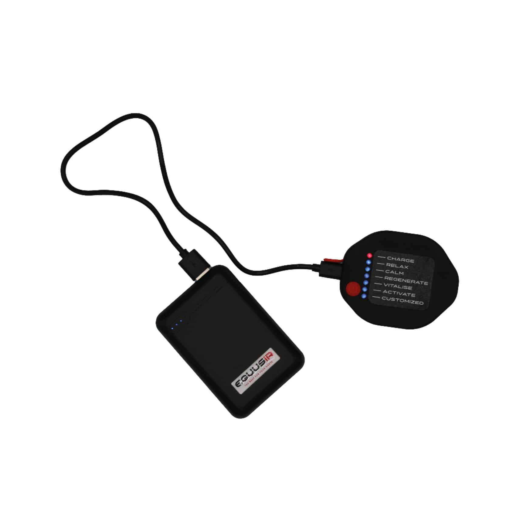 Equusir Bios Horse/Dog/Human Steuergerät Für Equusir Bios Stimulation System