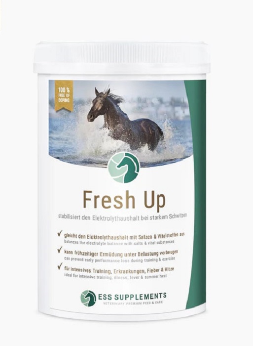 Ess Supplements Fresh Up 1 kg Stabilisiert den Elektrolythaushalt