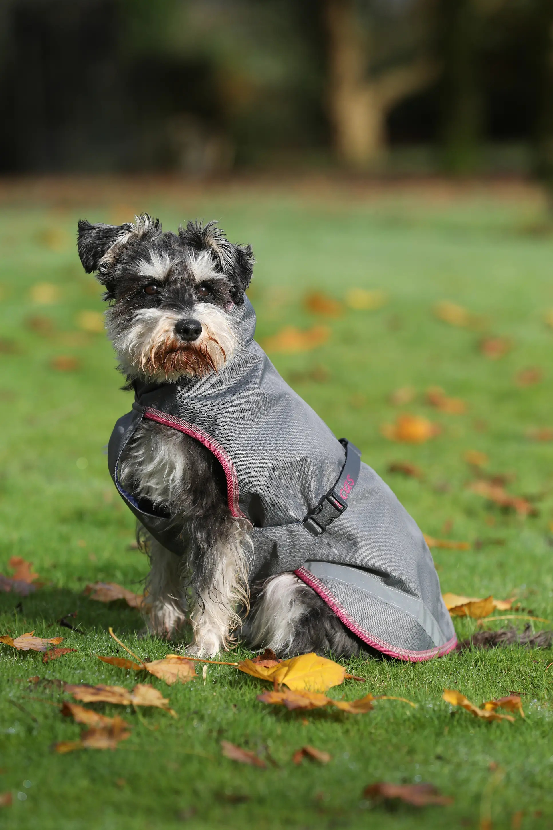 Bucas Hundemantel Freedom Dog Rug 150g 55cm, Smoke Grey
