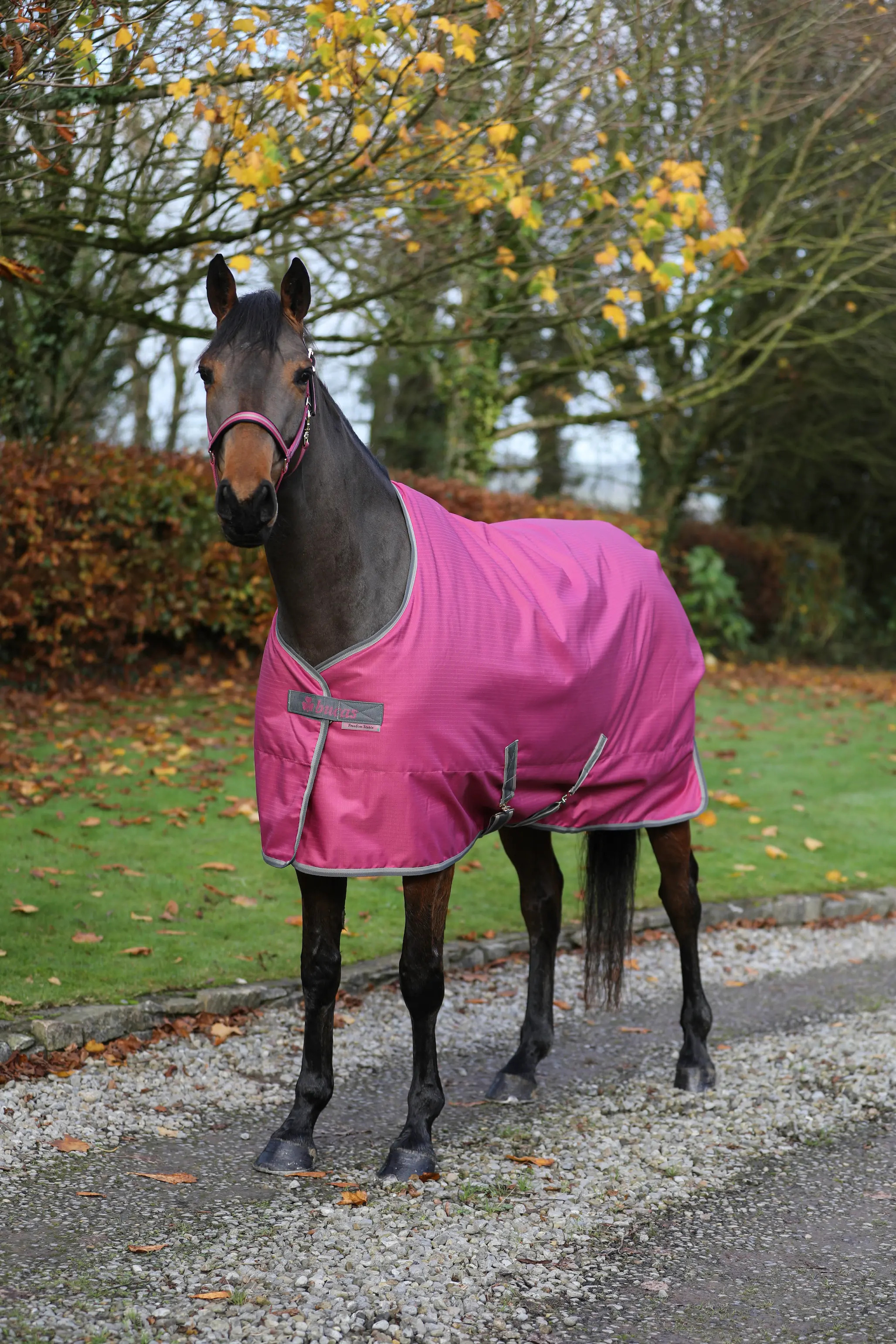 Bucas Freedom Stable 300g 145cm, Raspberry