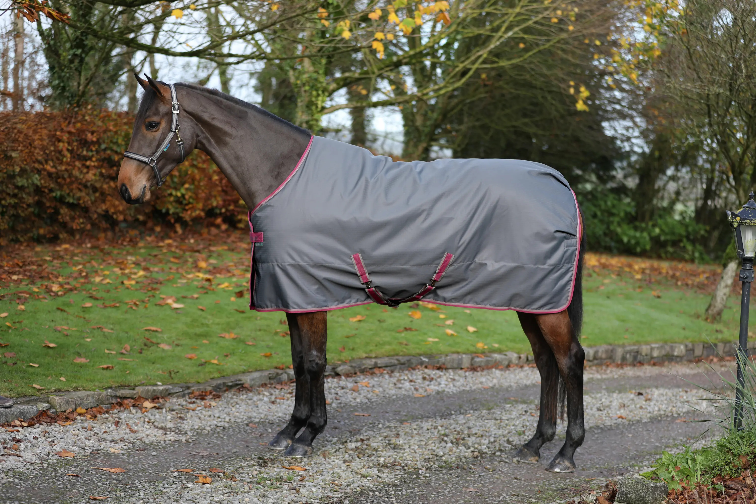 Bucas Freedom Stable 300g 155cm, Smoke Grey