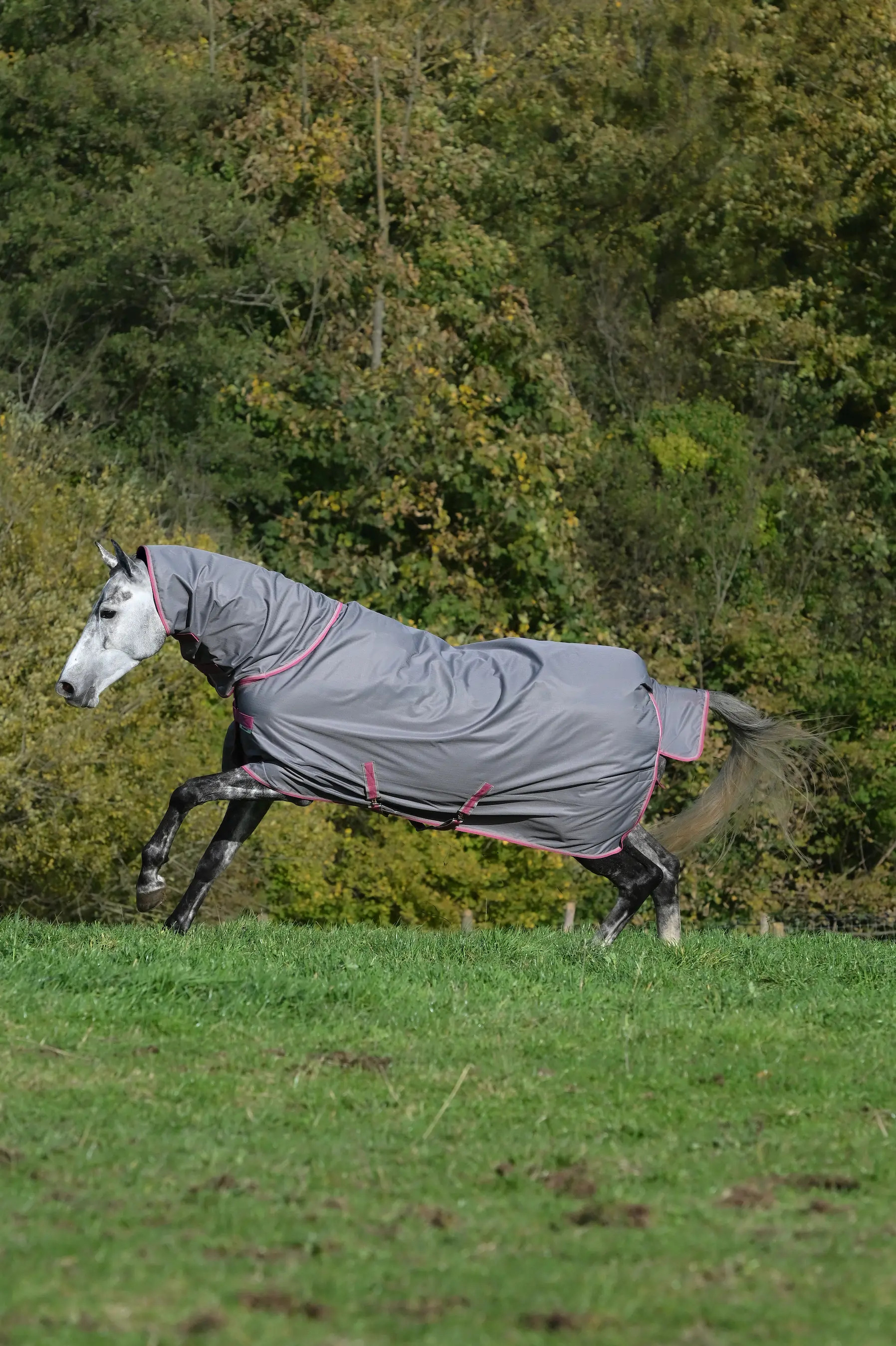 Bucas Freedom T/O Light F/N mit Halsteil 155cm, Smoke Grey