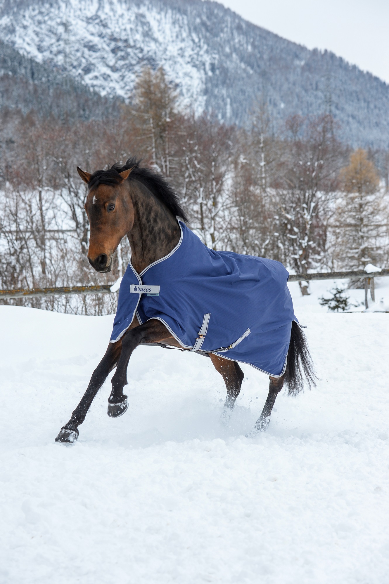 Bucas Freedom Turnout 150g Navy/Silver, Gr. 135 cm