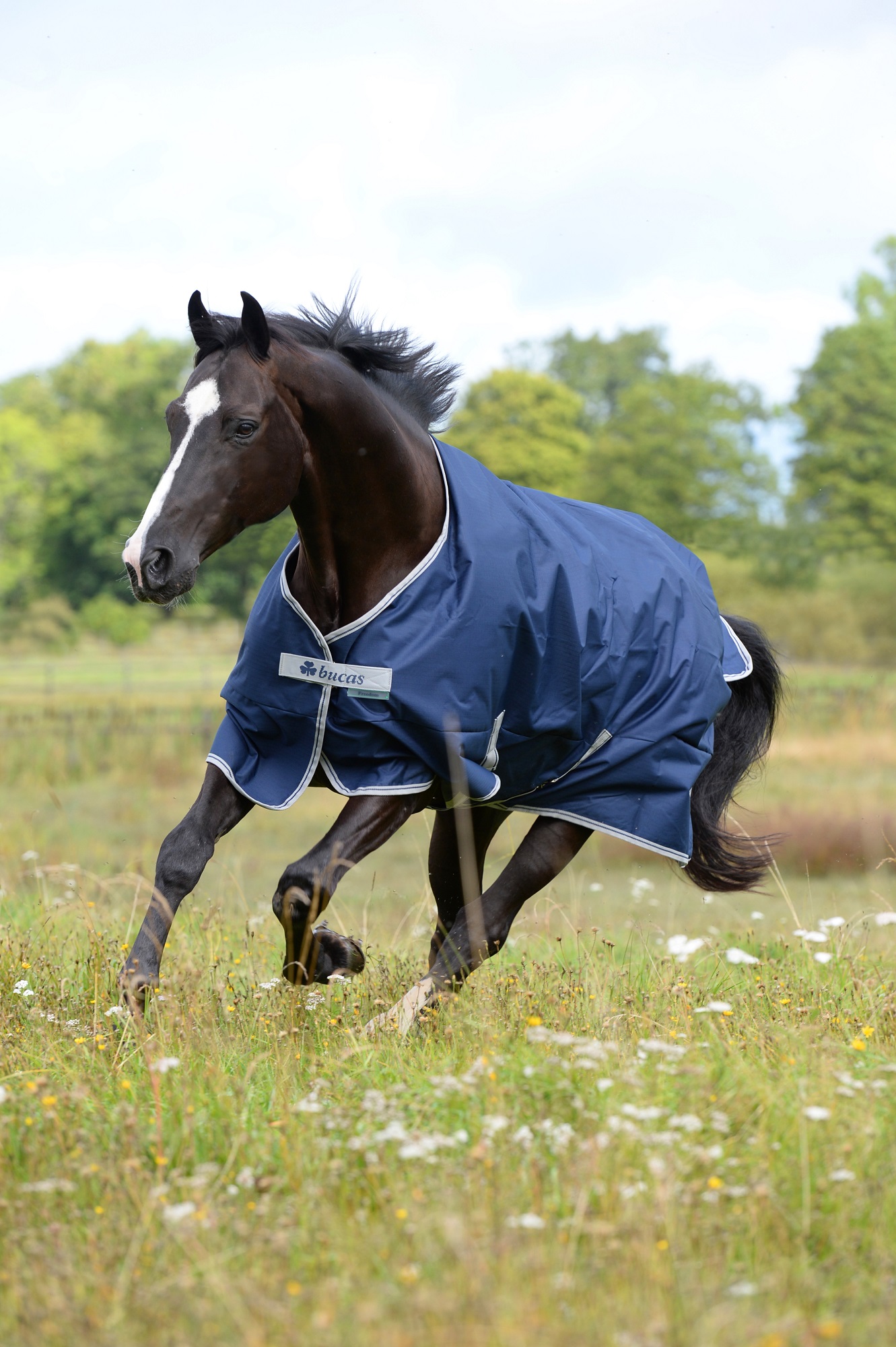 Bucas Freedom Turnout Light 0g Navy/Silver, Gr. 145 cm
