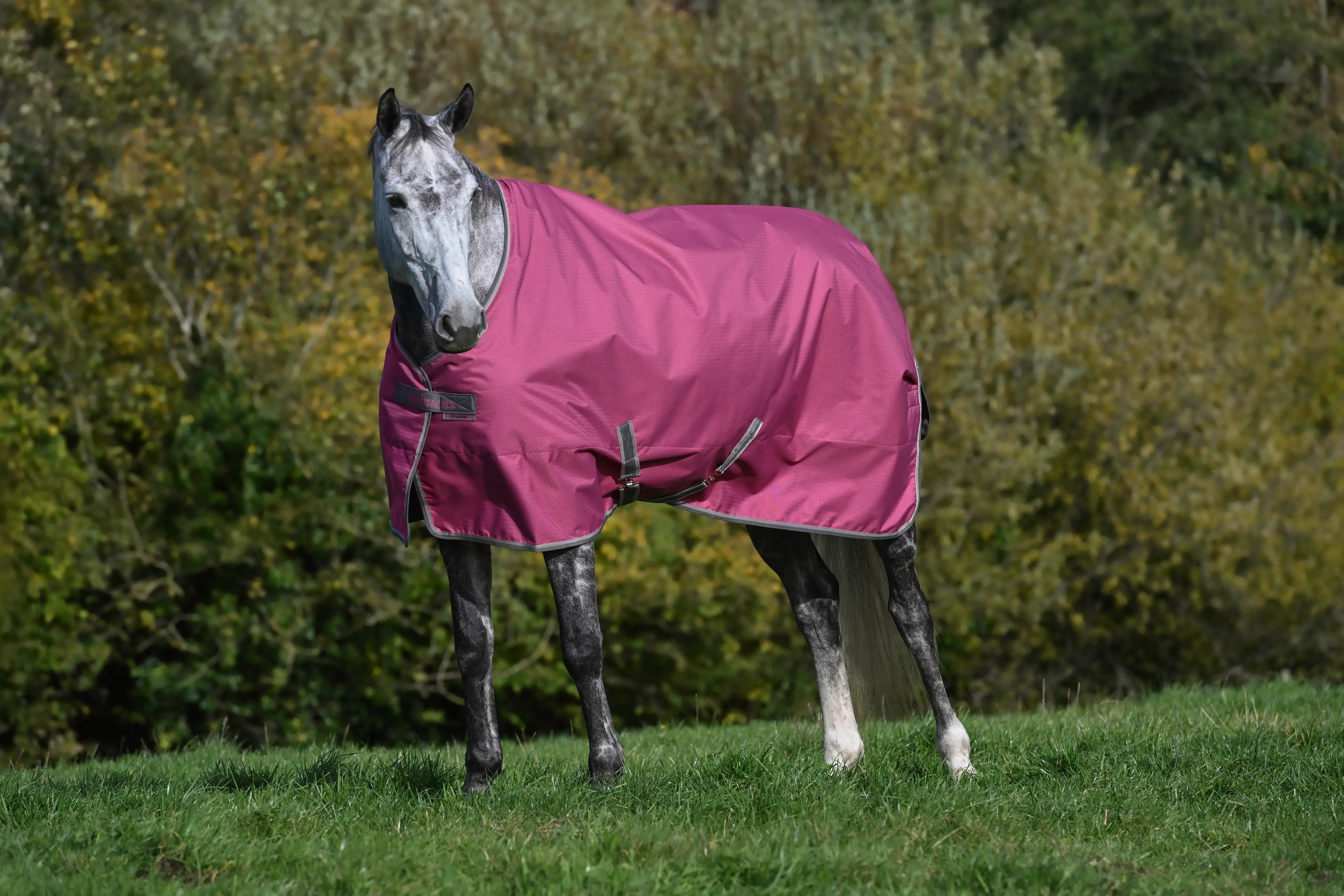 Bucas Freedom Turnout 300 Raspberry, Gr. 125 cm