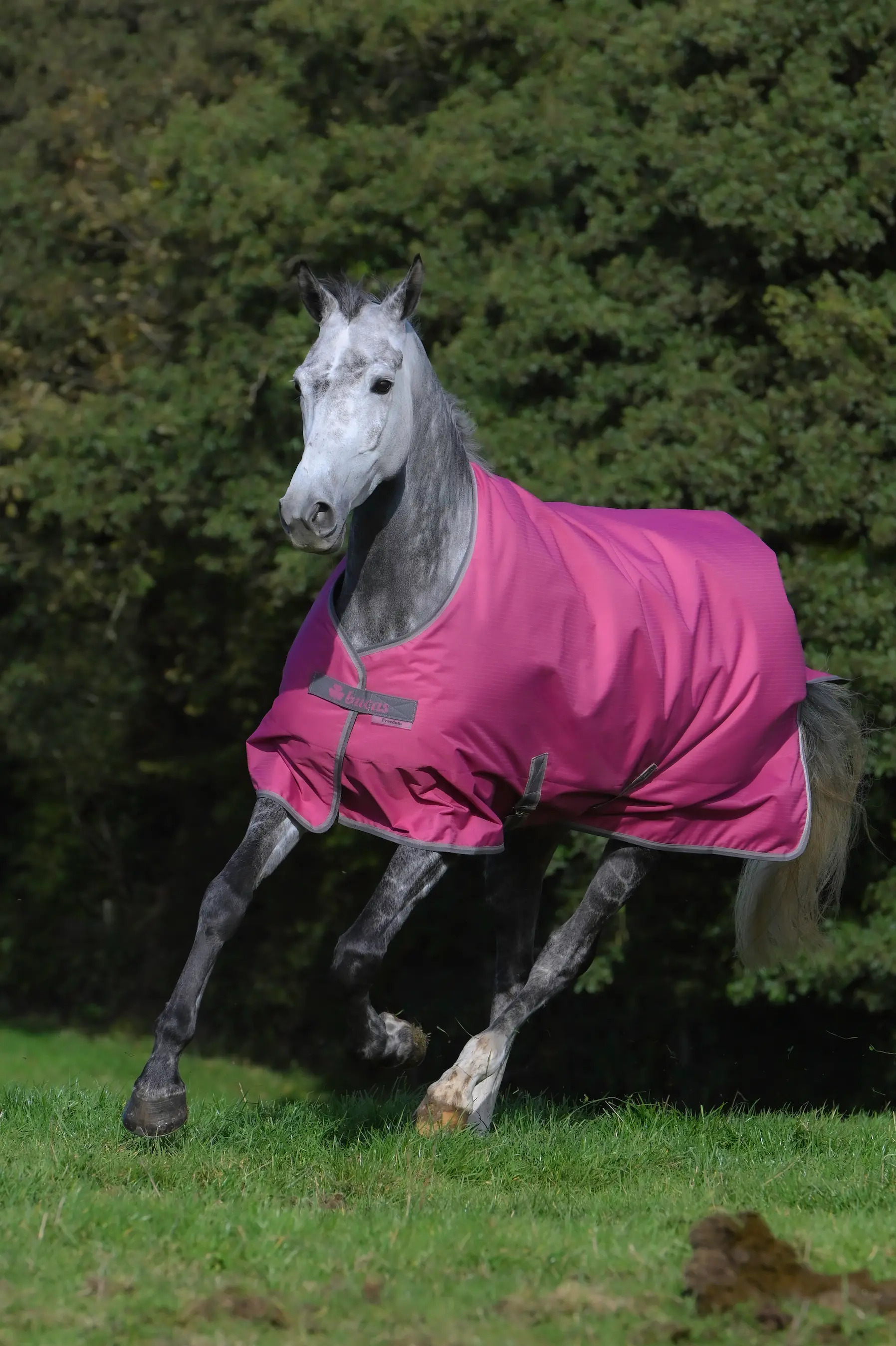 Bucas Freedom Turnout 150g 165cm, Raspberry