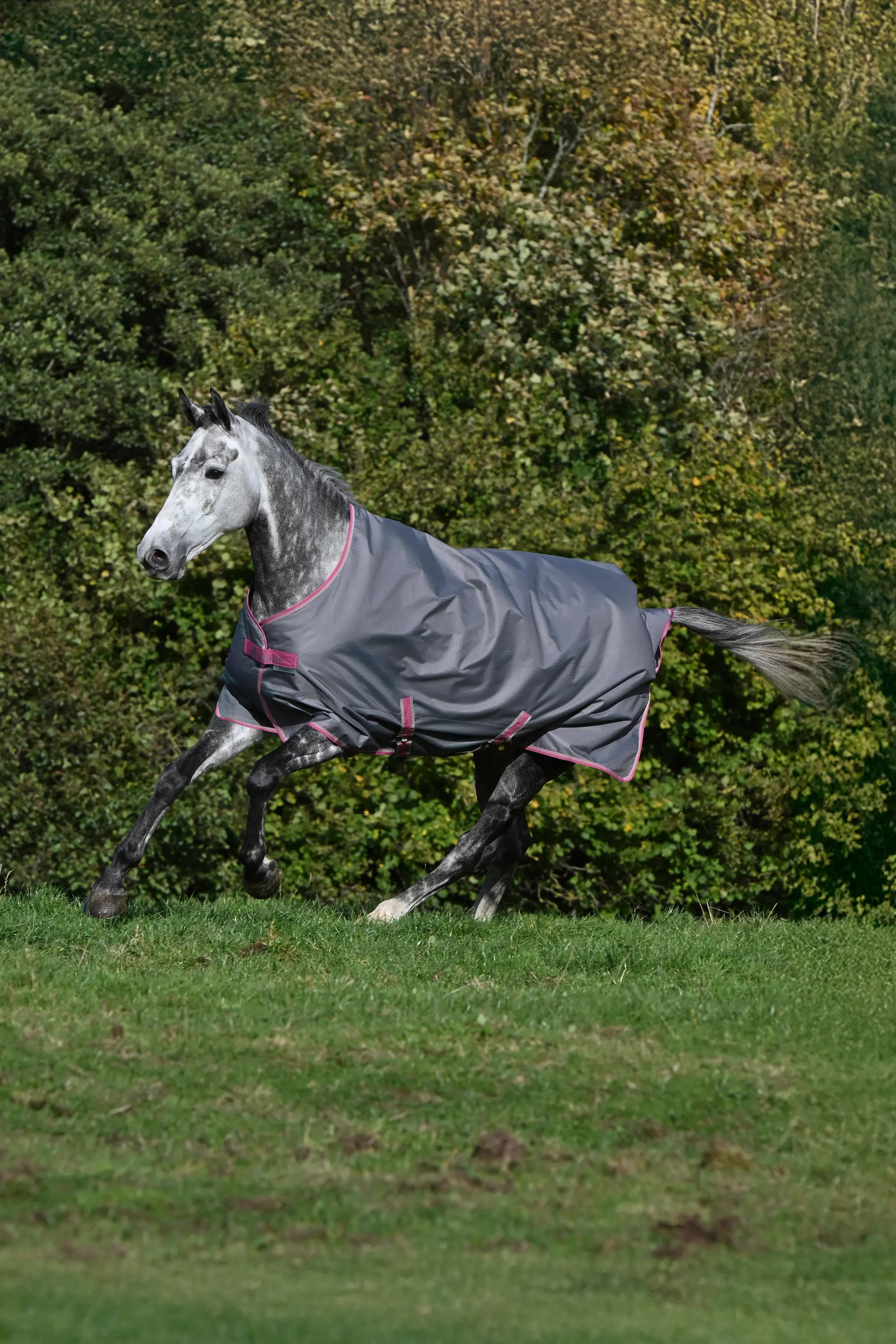 Bucas Freedom Turnout 300 Smoke Grey, Gr. 165 cm