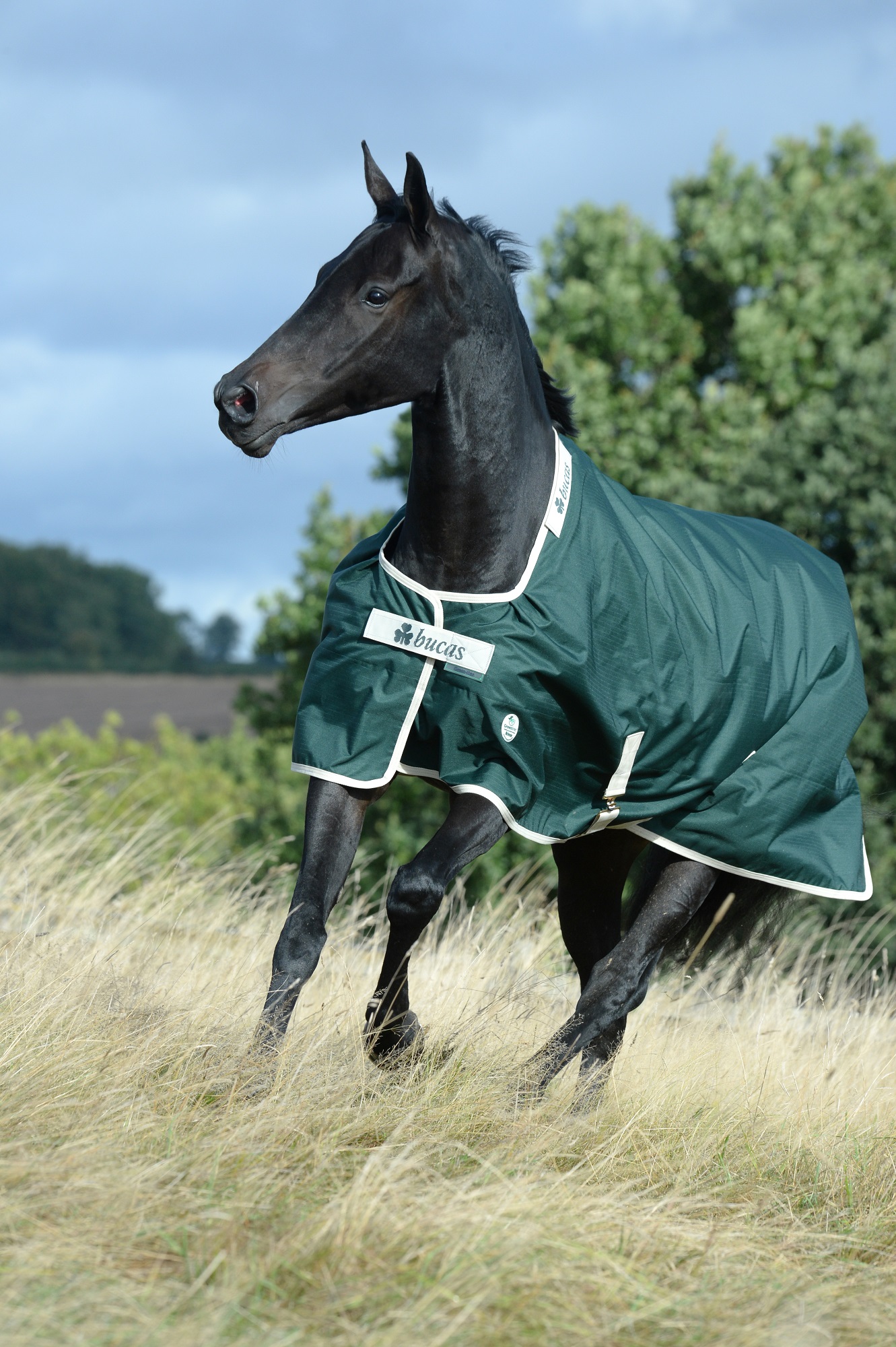 Bucas Greenline Turnout 100g Green/Cream, Gr. 130 cm