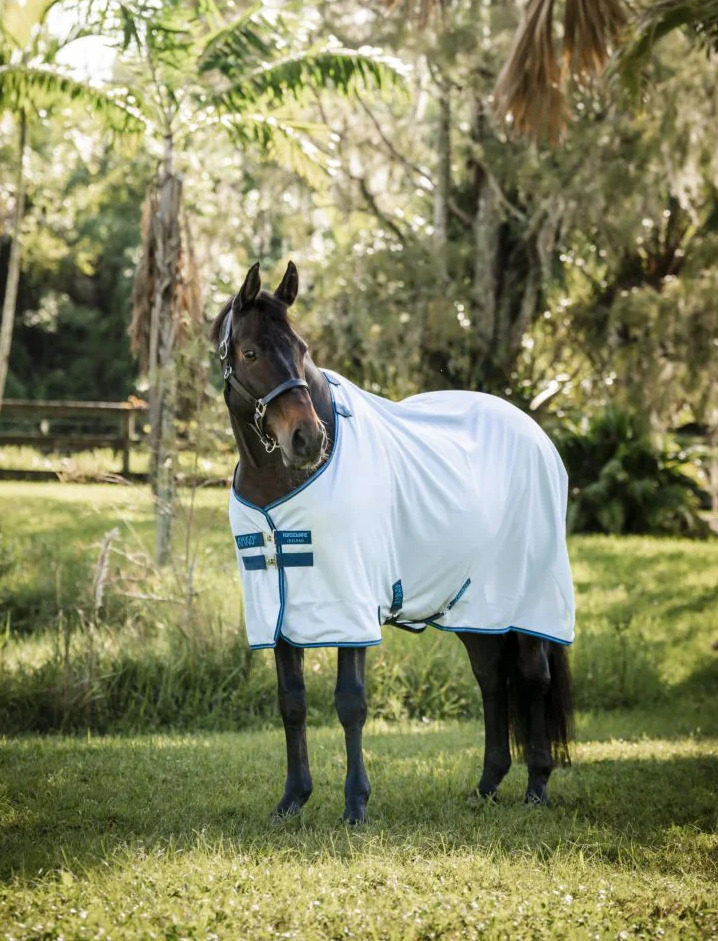 Horseware Fliegendecke Amigo Bug Rug Azure Blue/Navy & Blue/ 130 cm (6'0")