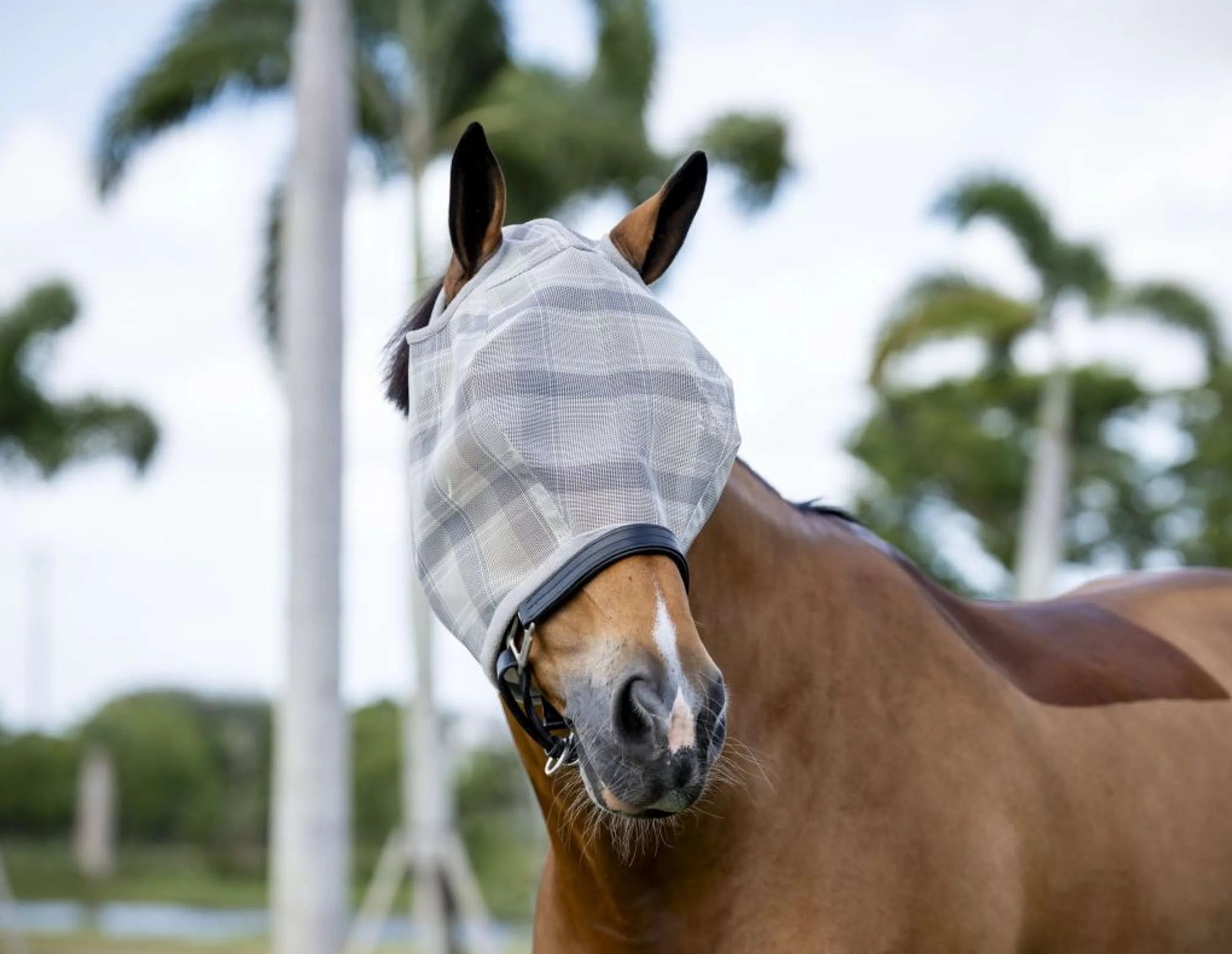 Horseware Fliegenmaske Newmarket No Ears Witney Charcoal, Pony