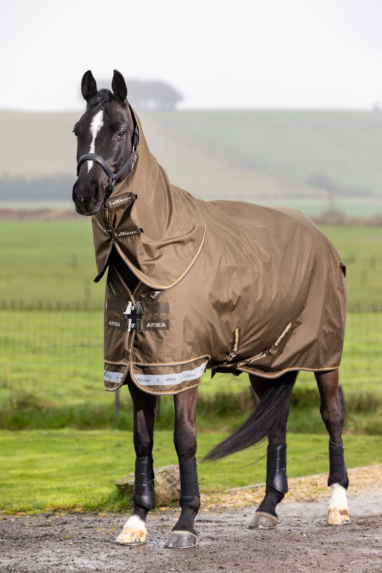 LeMieux Arika Ripstop 50g Turnout Rug Alpine, 165 cm