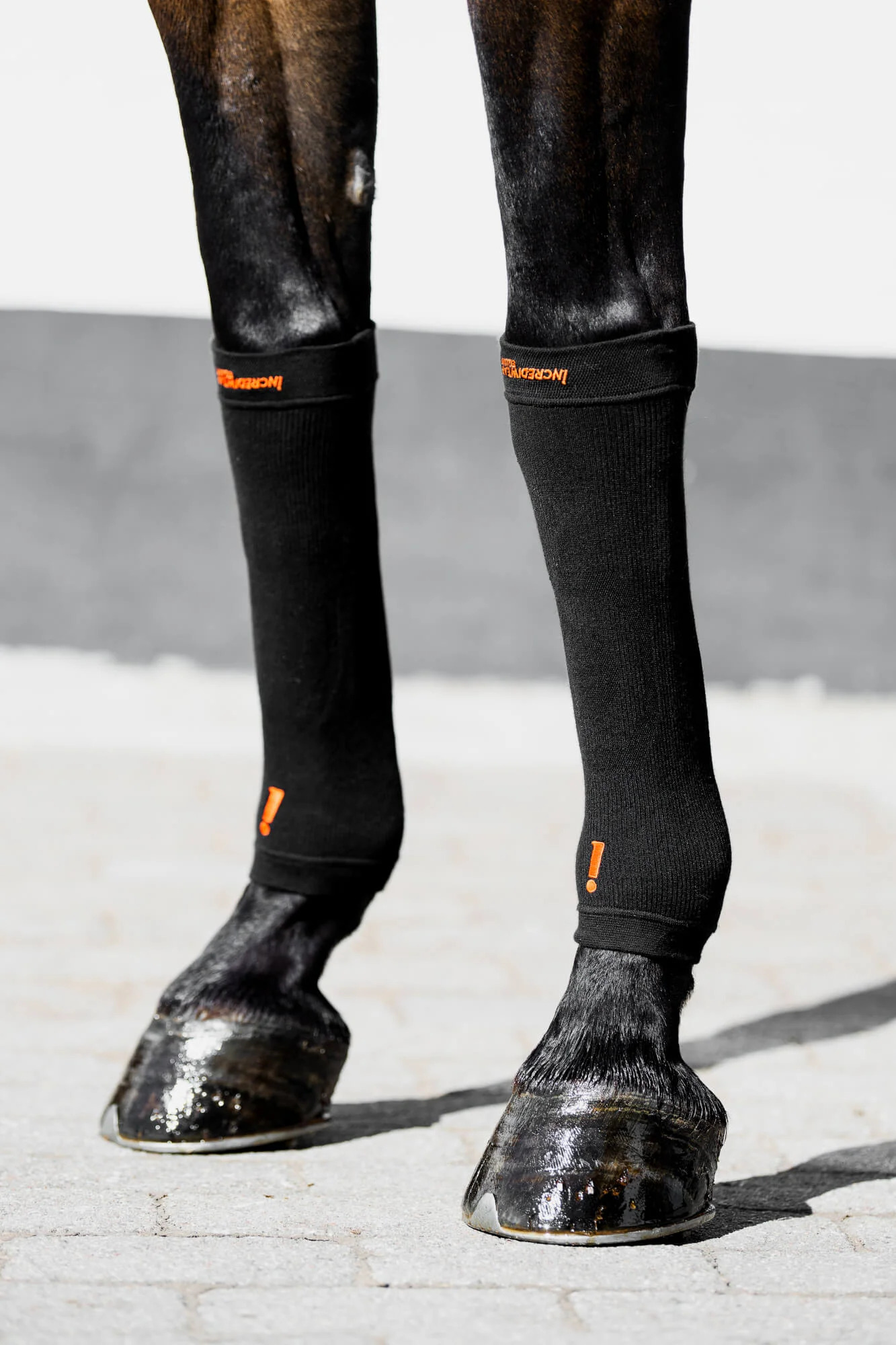 Incrediwear Equine Hoof Socks One Size, schwarz Zur Regeneration und Heilung