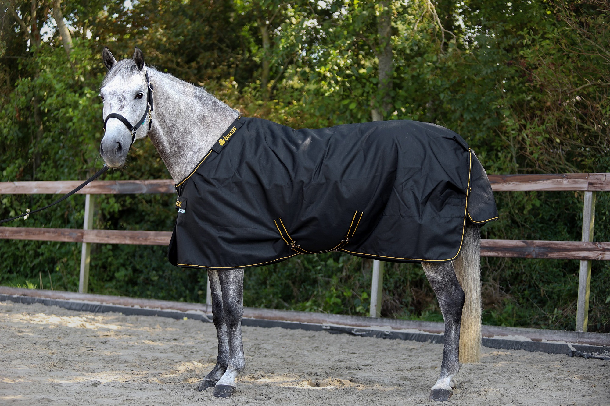 Bucas Irish Turnout Light/50g Black/Gold, Gr. 145 cm