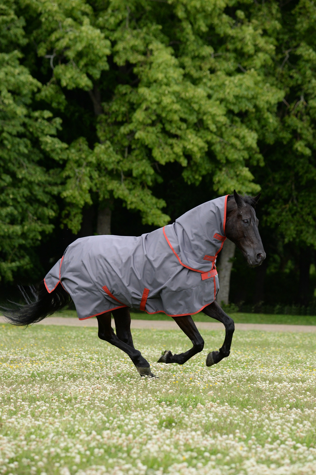 Bucas Irish Turnout Combi Neck Halsteil 0g 145/L, Grey/red