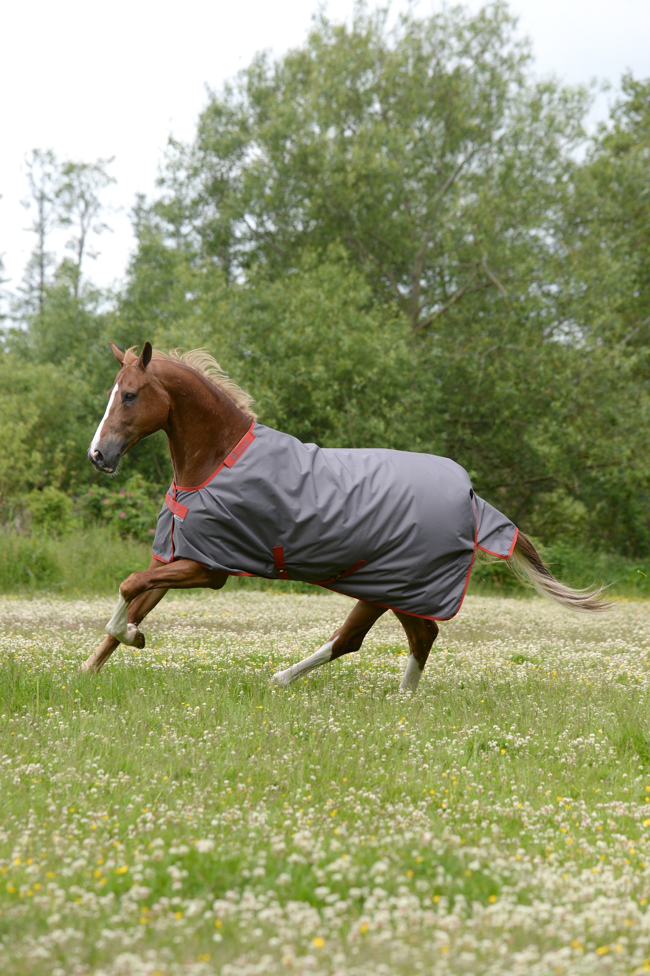 Bucas Irish Turnout 150g Grey/Red, Gr. 125 cm
