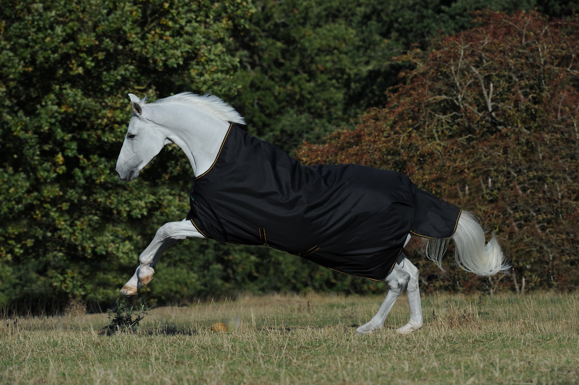 Bucas Irish Turnout Light/50g H/N Black/Gold, Gr. 125 cm