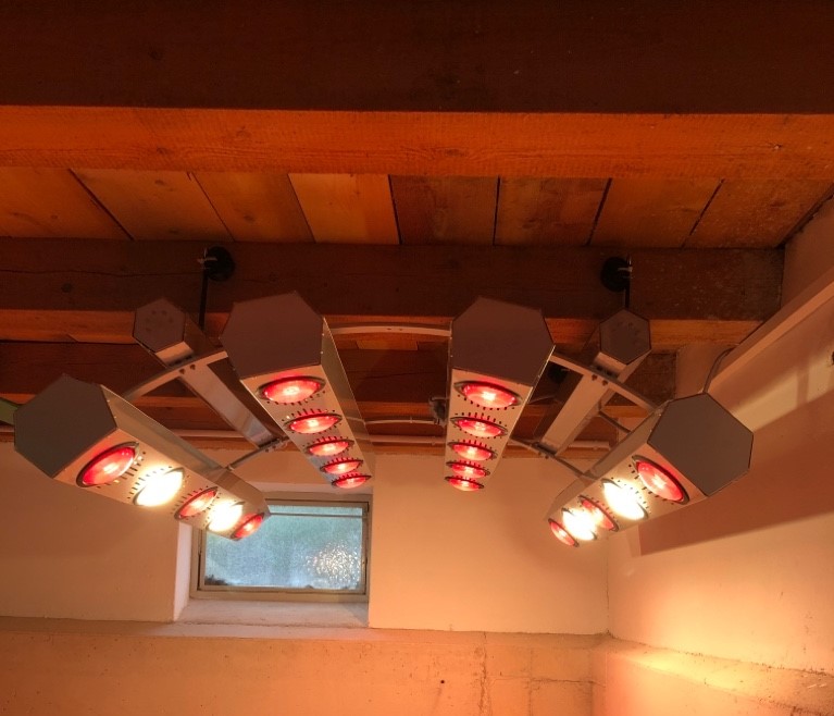 Summerwind 4 x Uv – Lampen mit je 300 Watt Für Pferdesolarien Light Iii + Iv