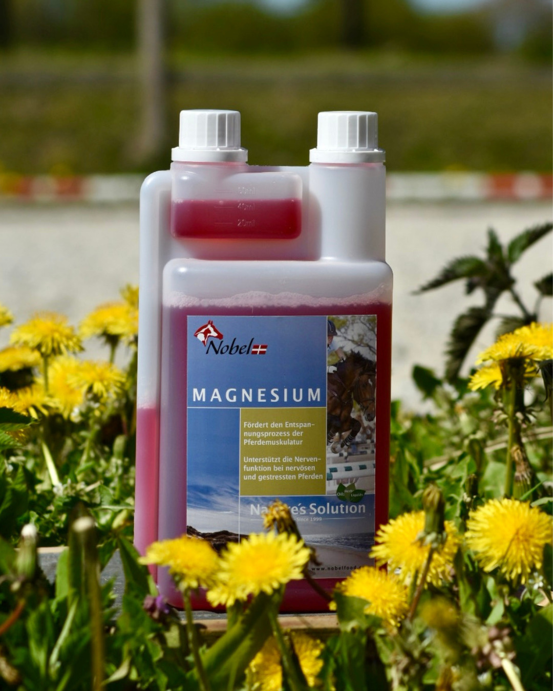 Nobel Magnesium Liquid 1L Für Balance und Entspannung