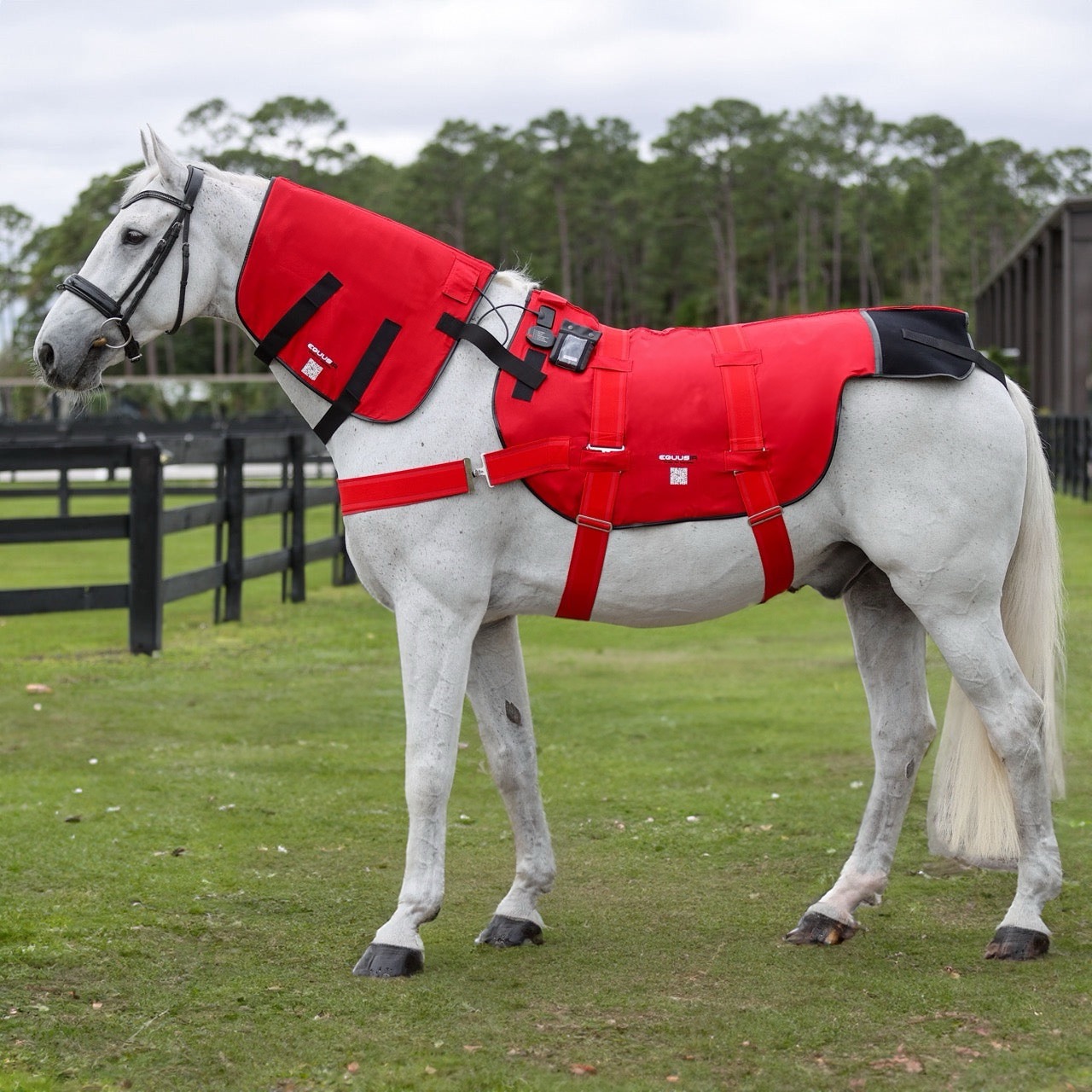Equusir Bios Decke Horse Magnetfelddecke (115cm) + Nackenapplikator + Steuergerät