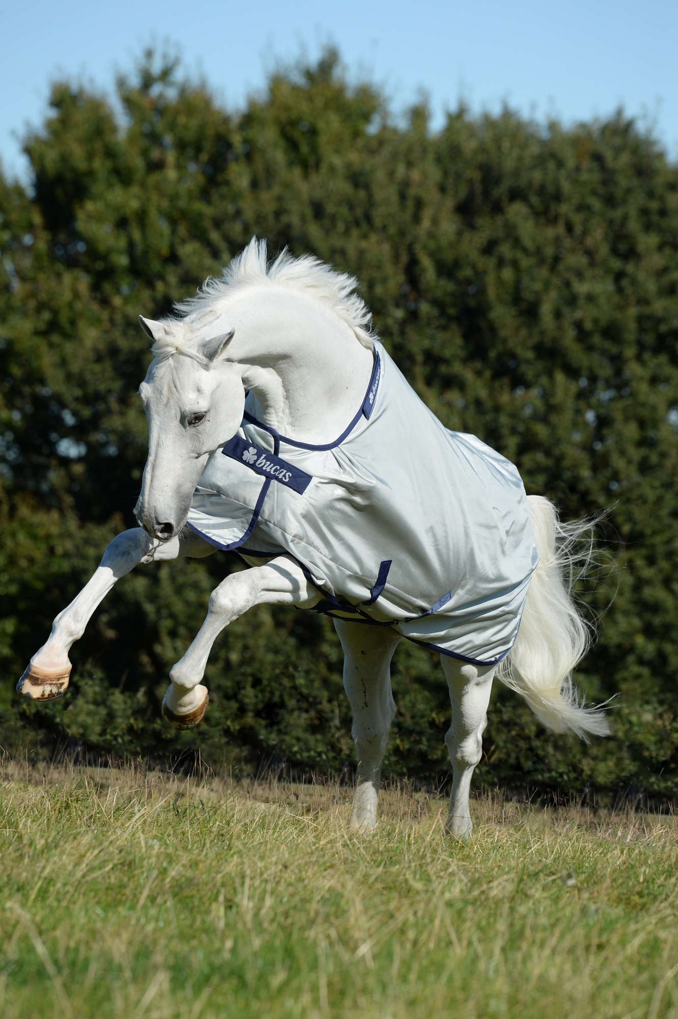 Bucas Power Turnout Light 0g Silver, Gr. 130 cm