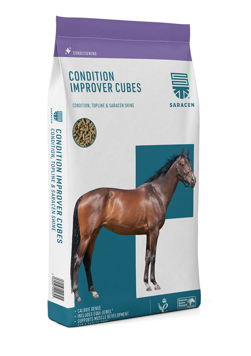 Saracen Condition Improver Cubes 20kg für einzigartige Erscheinung, Oberlinie und Glanz